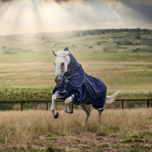 Horse-Led Design: Rugging Outside of the Box