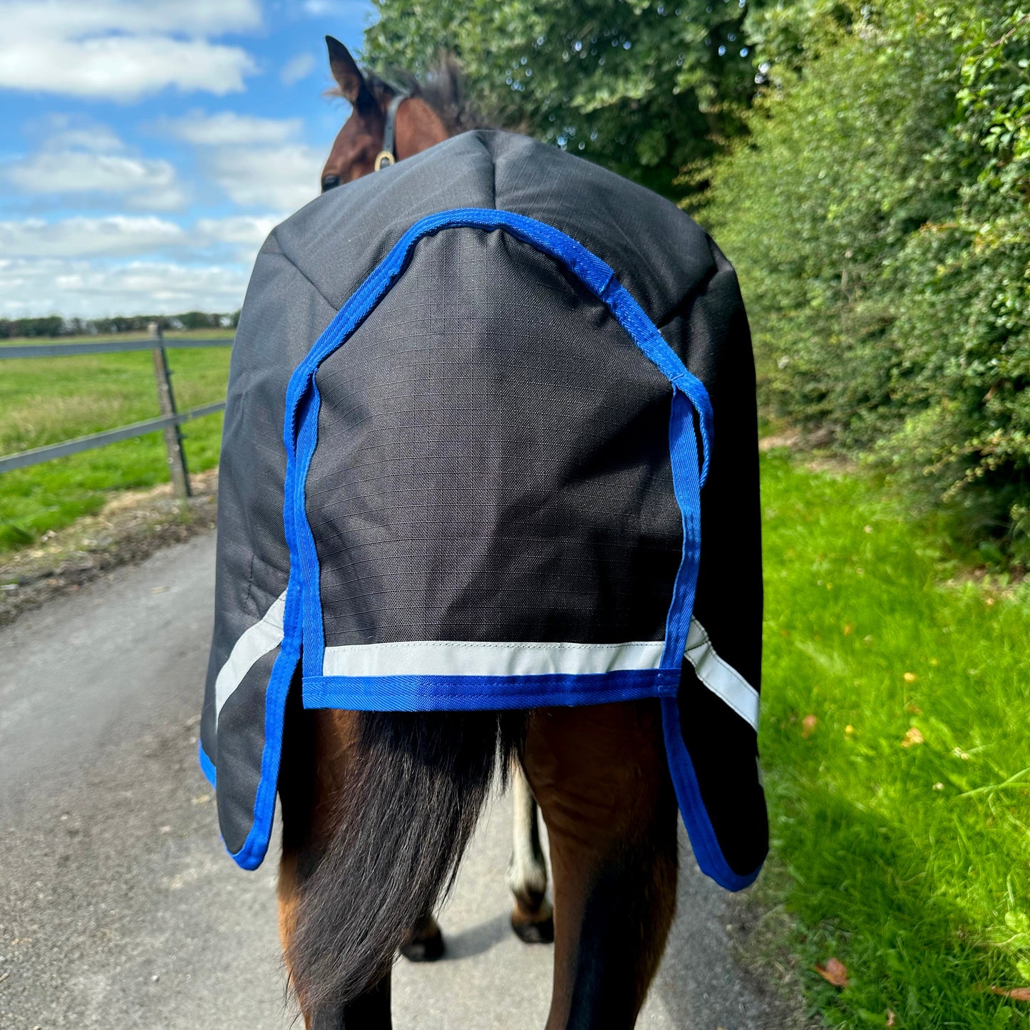 Amigo Ripstop 900D Foal Turnout 50g, Black