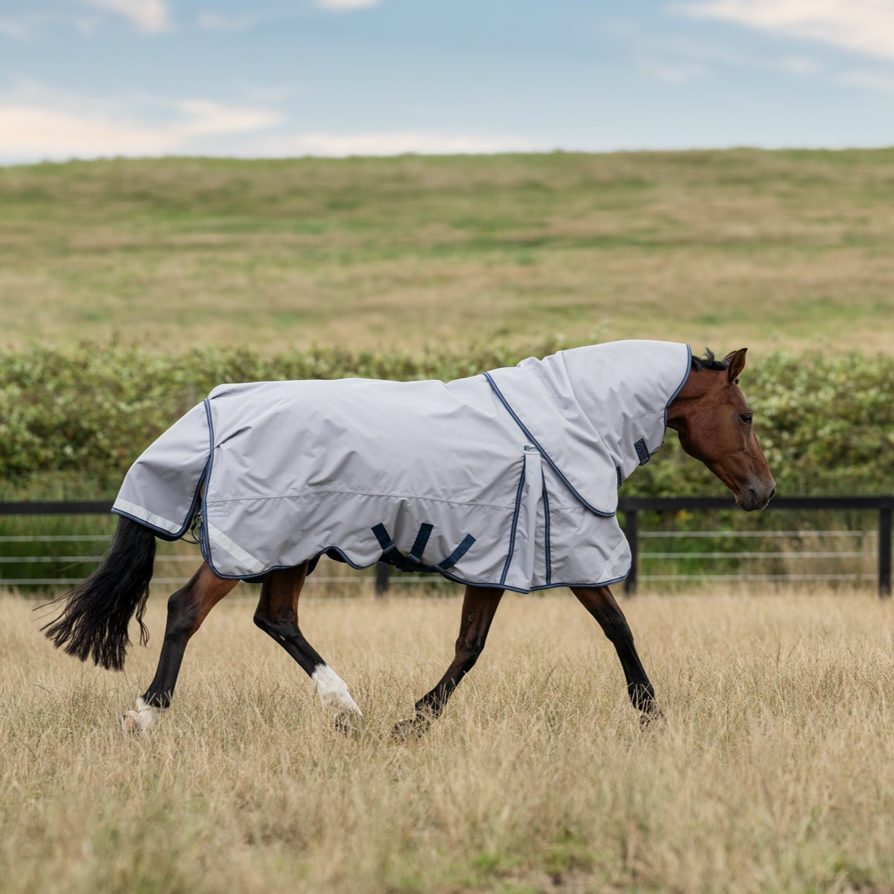 LE Boxter Turnout Ripstop 50g