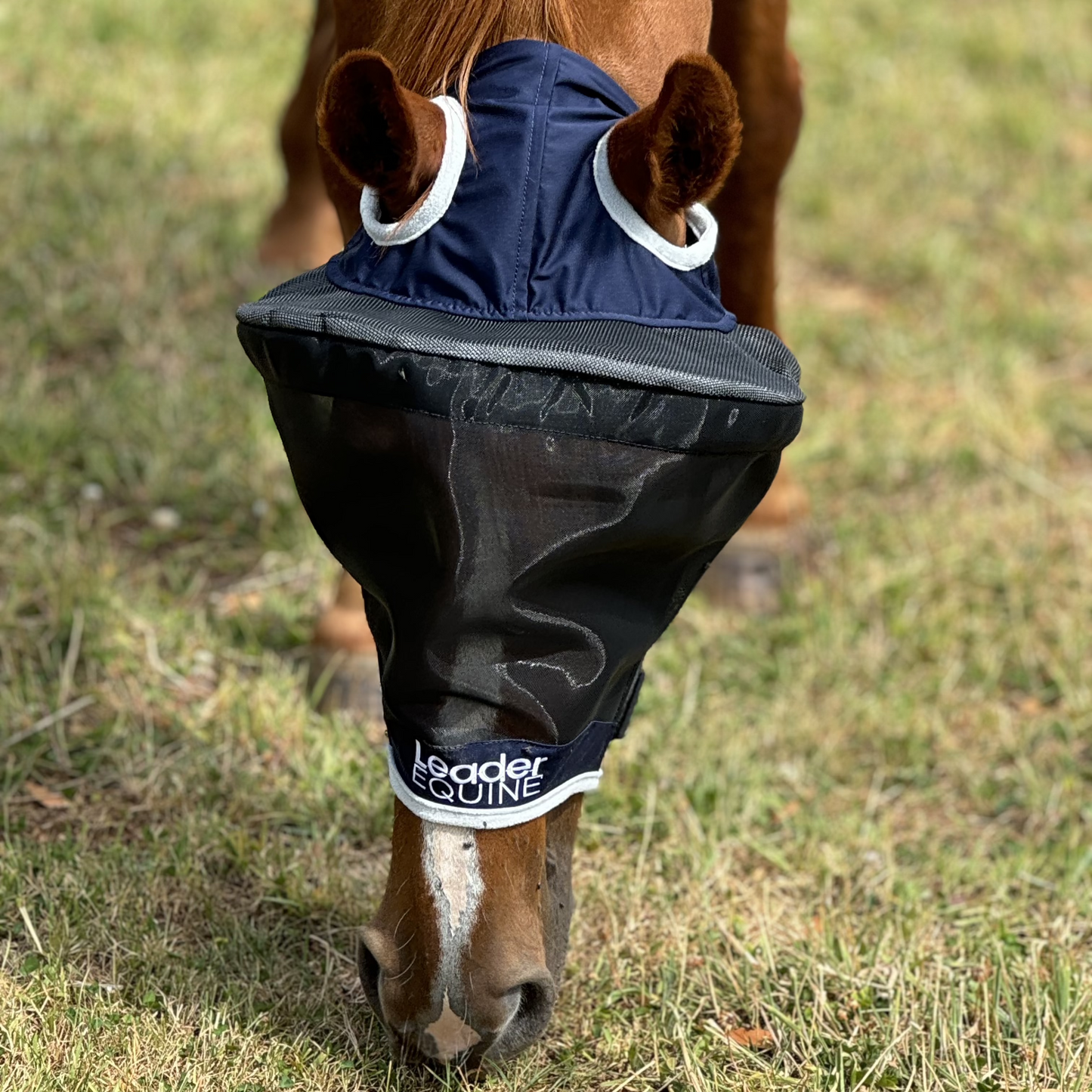 LE Outback Fly Mask