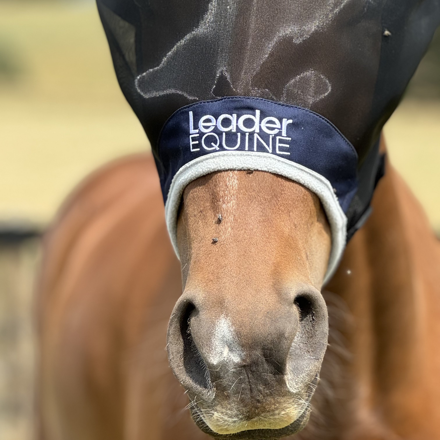 LE Outback Fly Mask