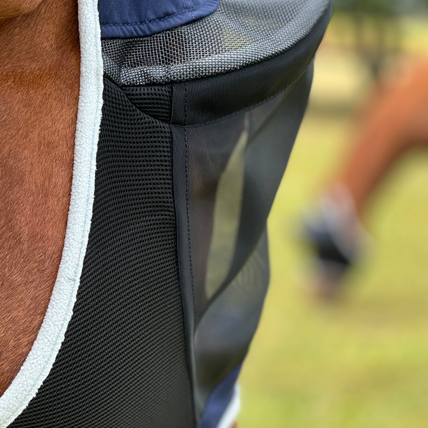 LE Outback Fly Mask