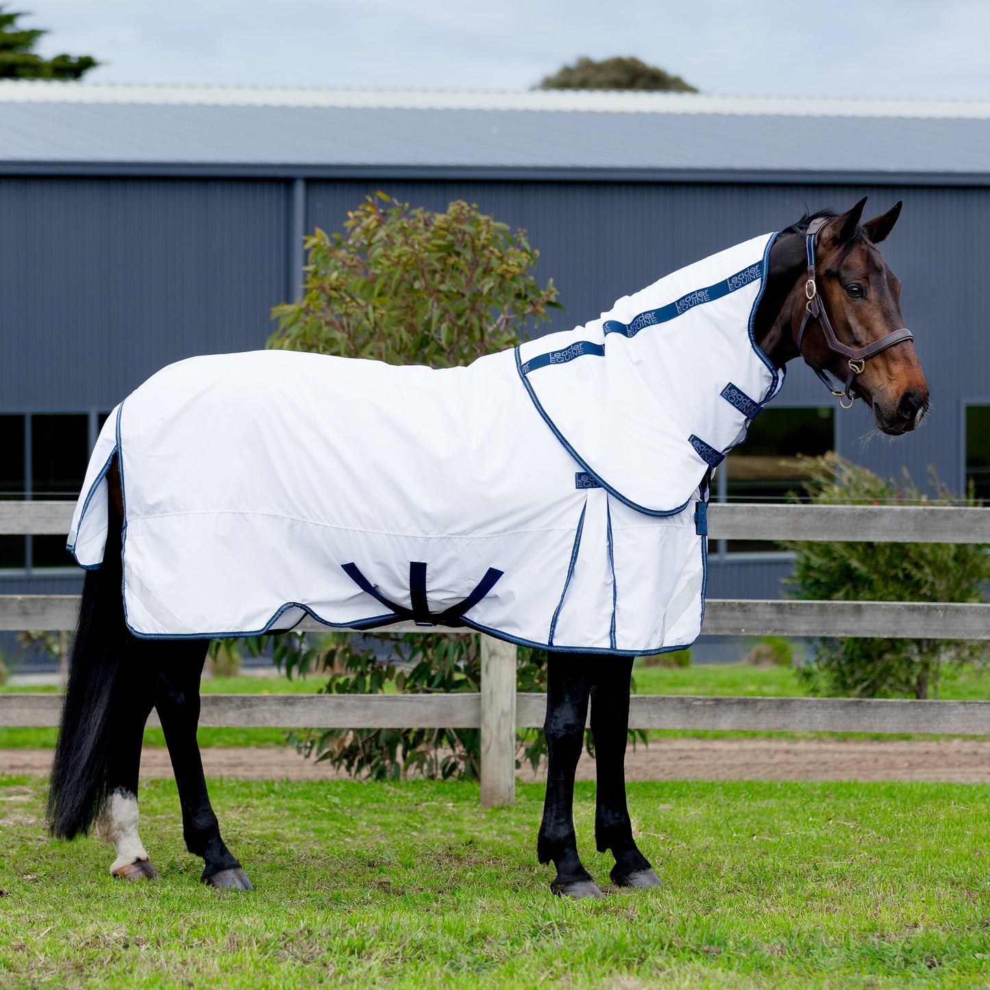 LE Fieldsafe Summer Sheet