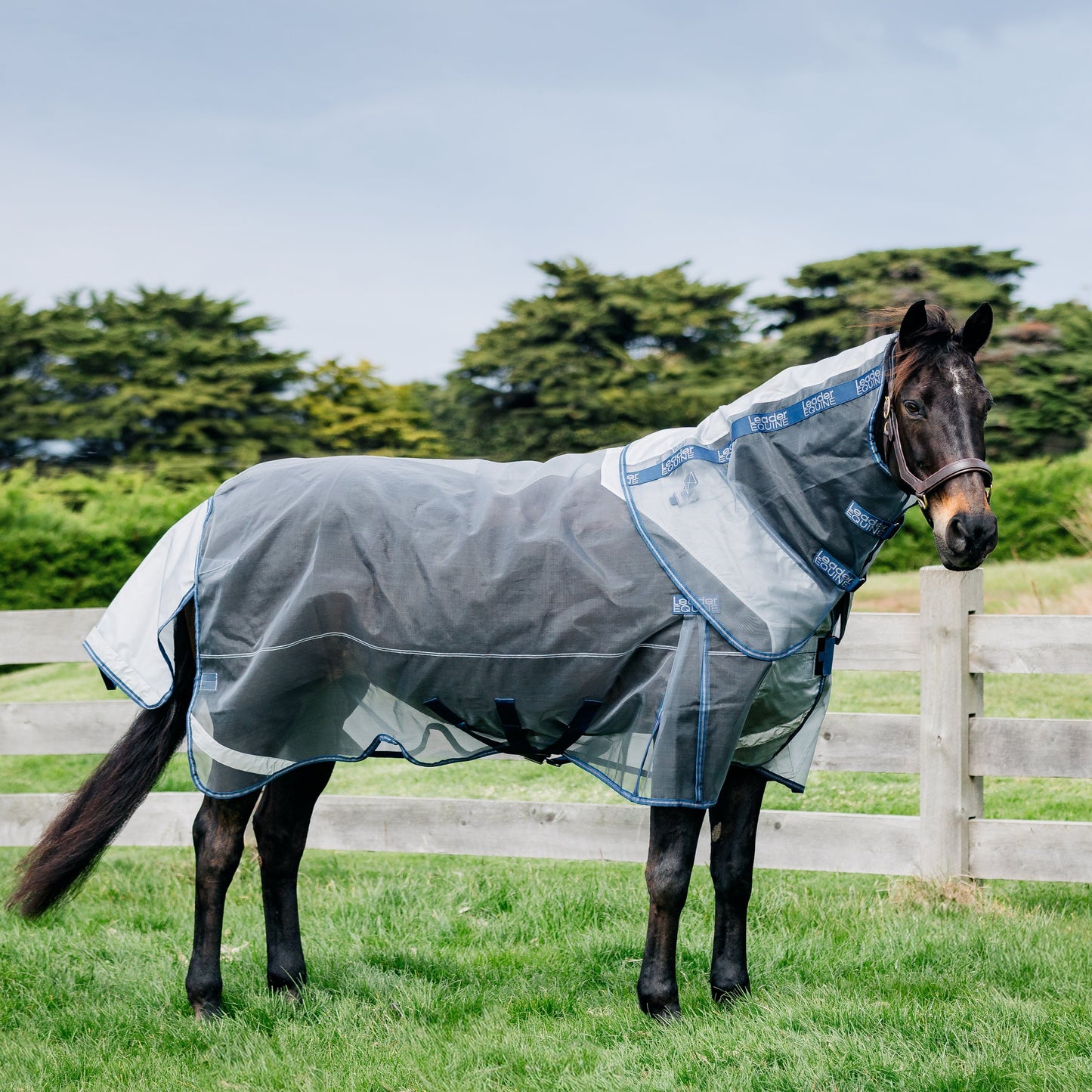 LE Defender Anti-Insect Fly Rug