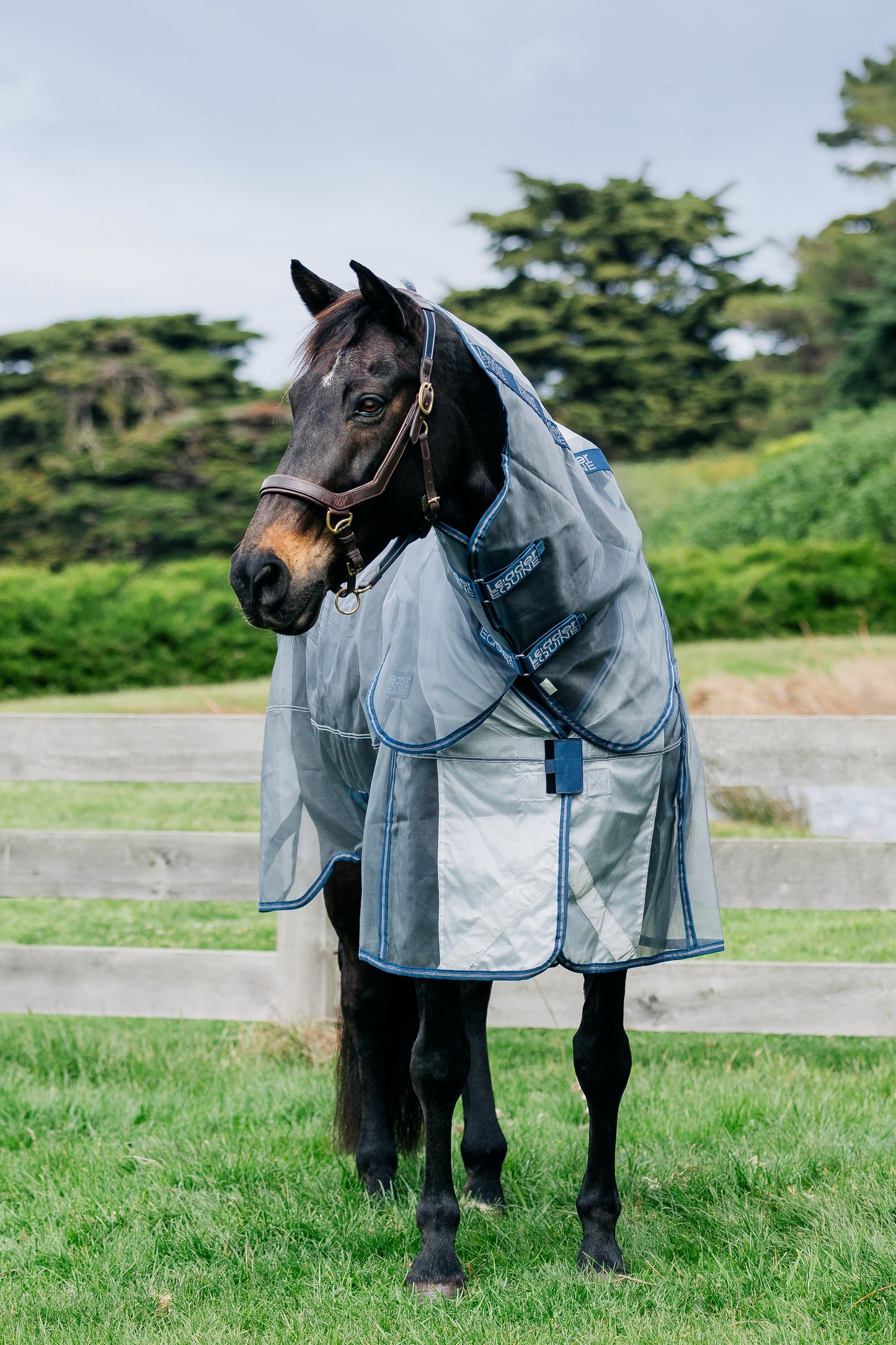 LE Defender Anti-Insect Fly Rug
