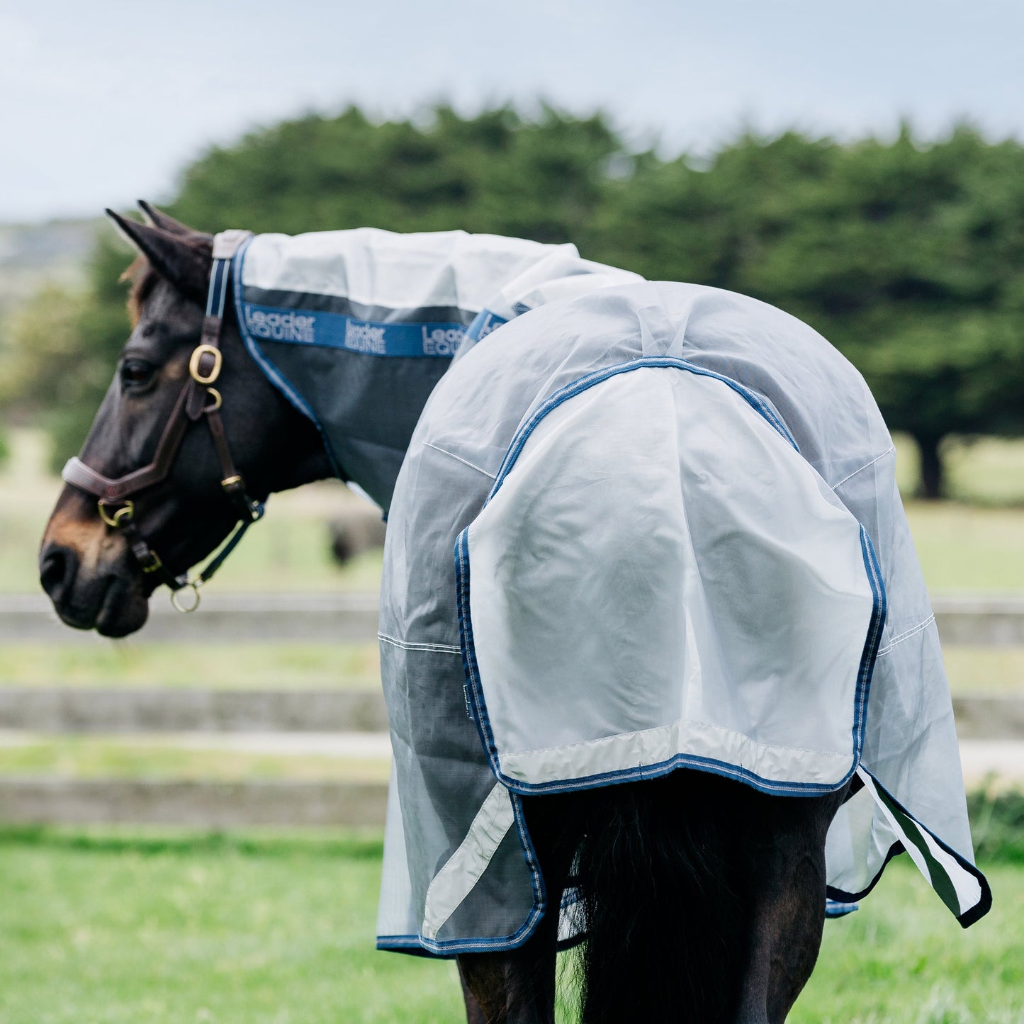 LE Defender Anti-Insect Fly Rug