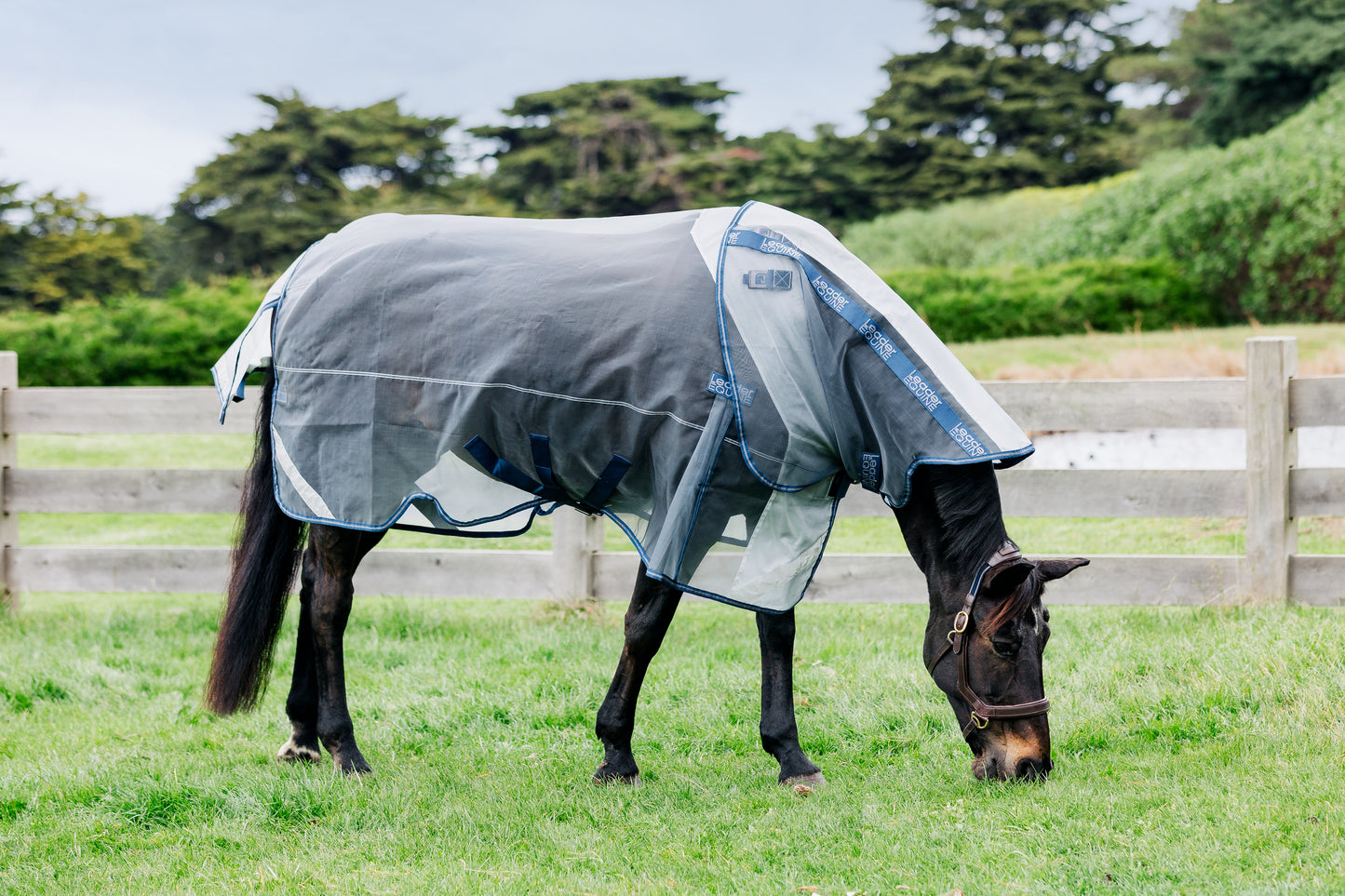 LE Defender Anti-Insect Fly Rug