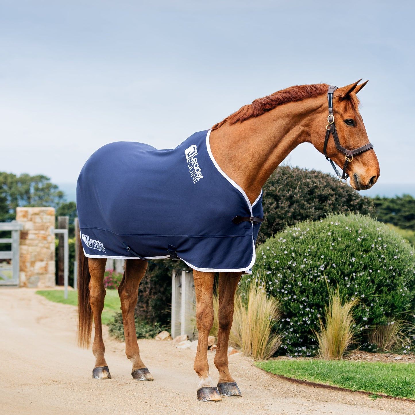 LE Champion Cooler Rug