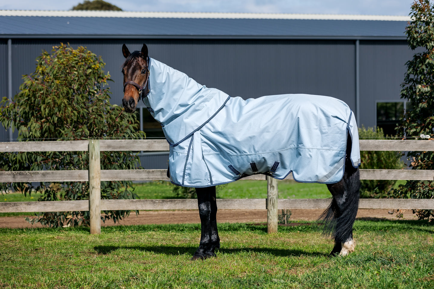 LE Boxter Turnout 0g