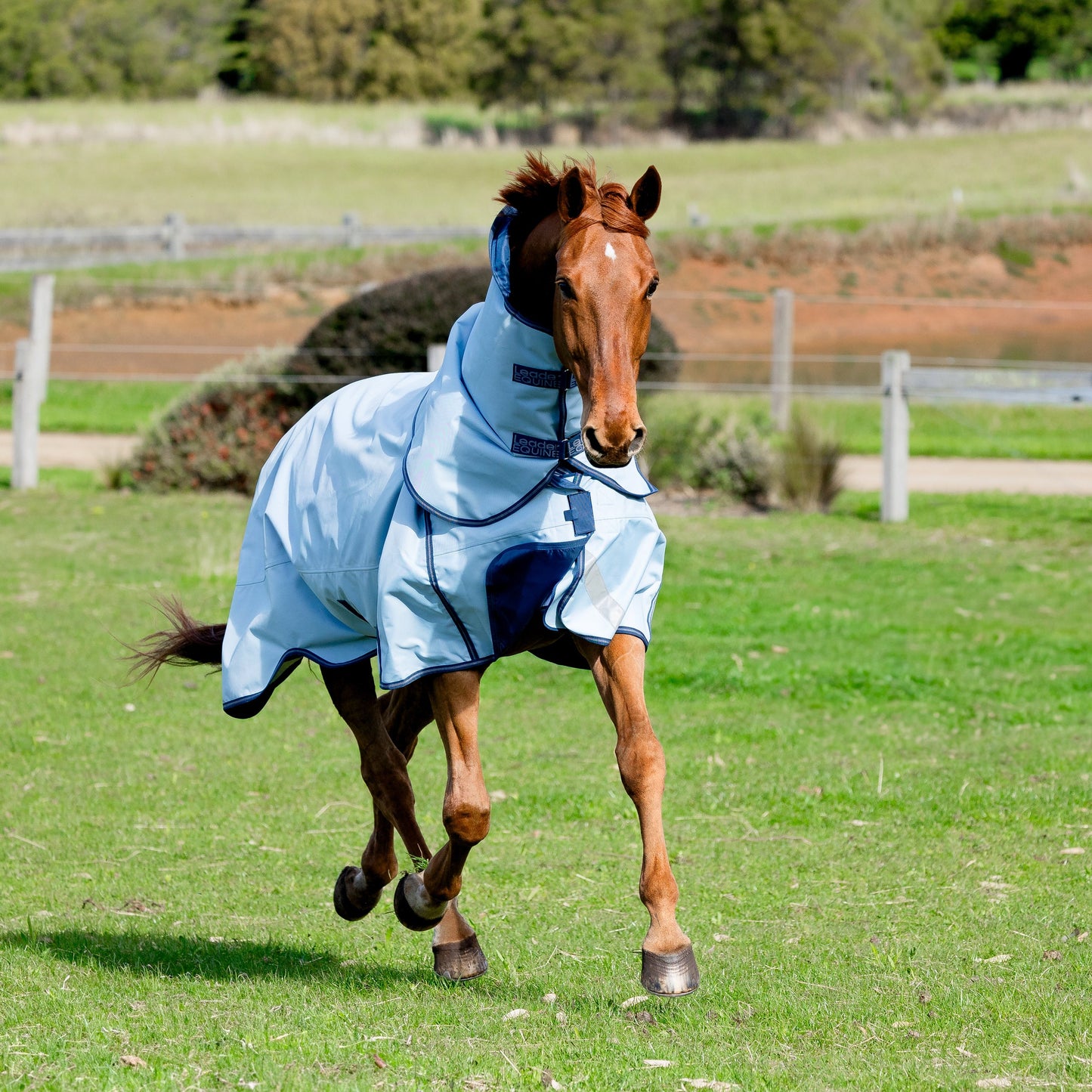 LE Boxter Turnout 0g