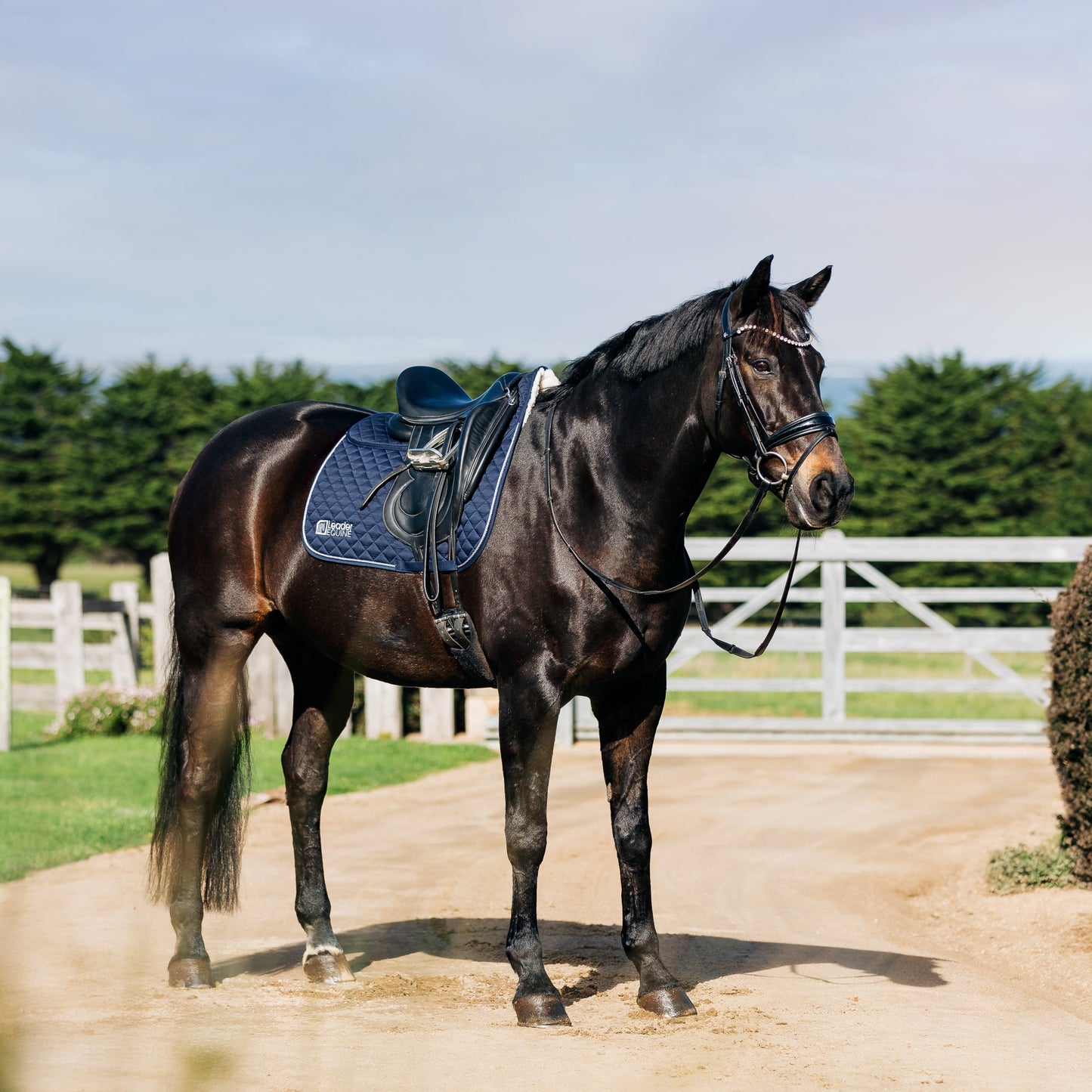 LE Performance Dressage Saddle Pad with Shims
