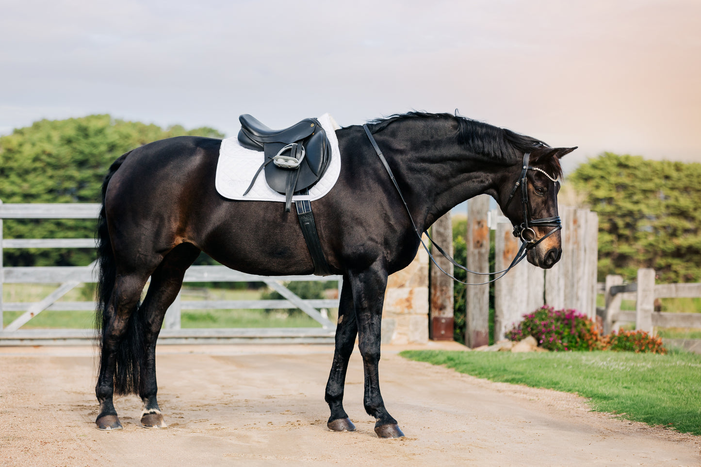 LE Performance Jump Saddle Pad with Shims