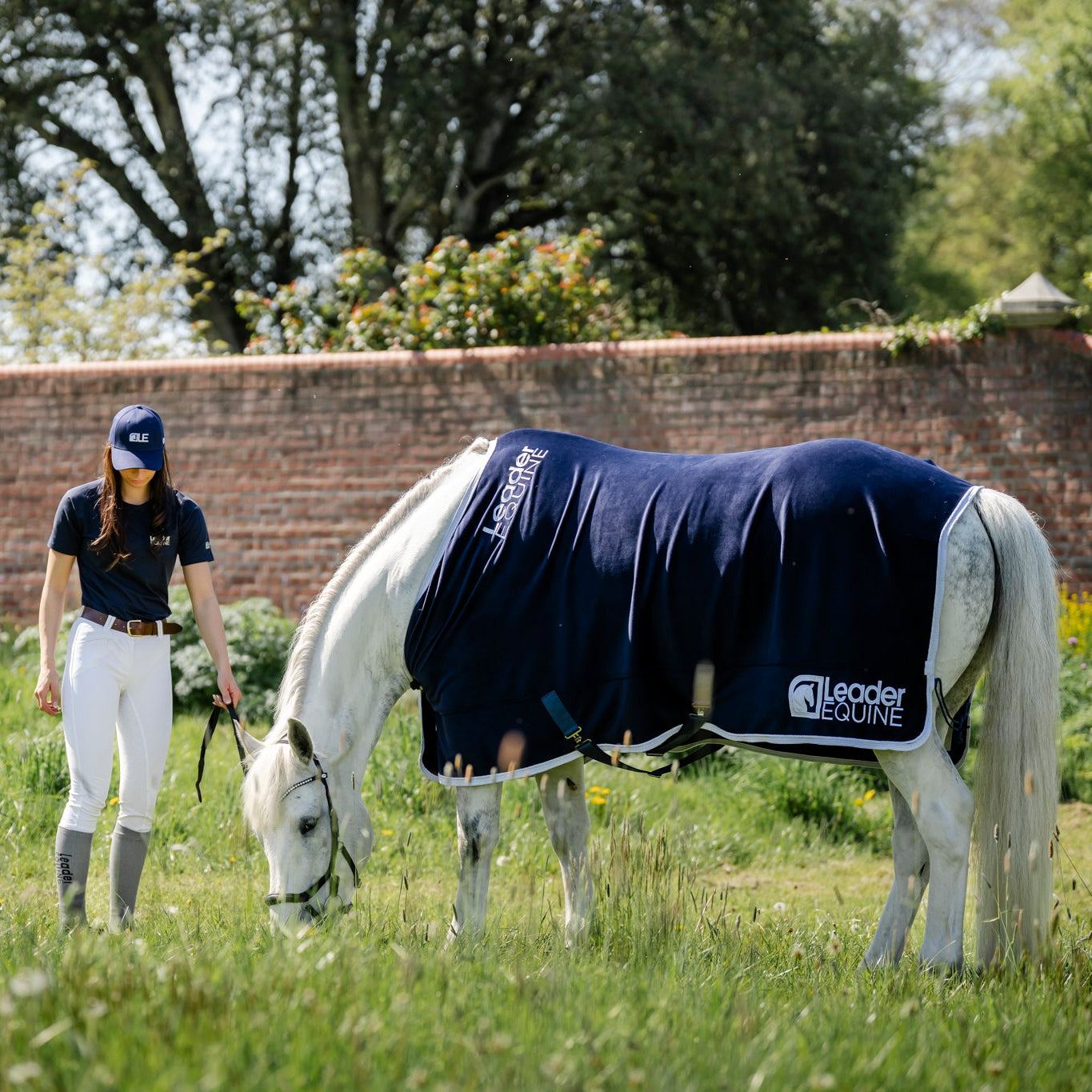 LE Champion Show Rug Double Velvet