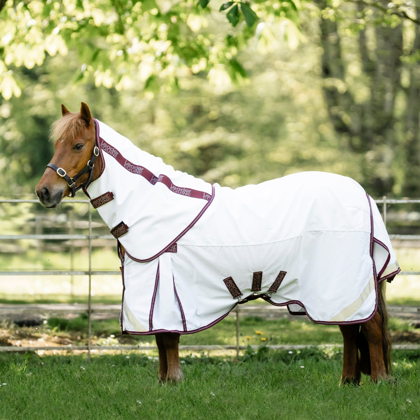 LE Fieldsafe Summer Sheet