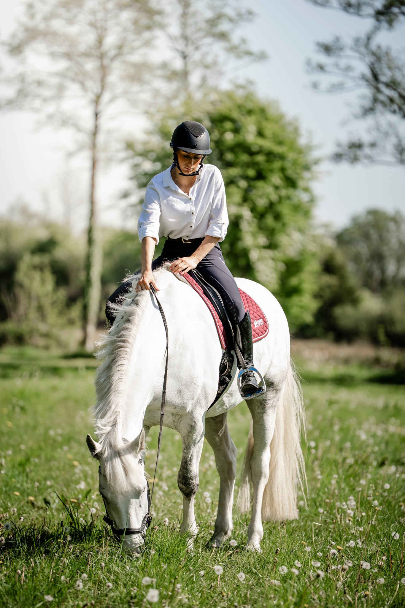 LE Performance Dressage Saddle Pad with Shims