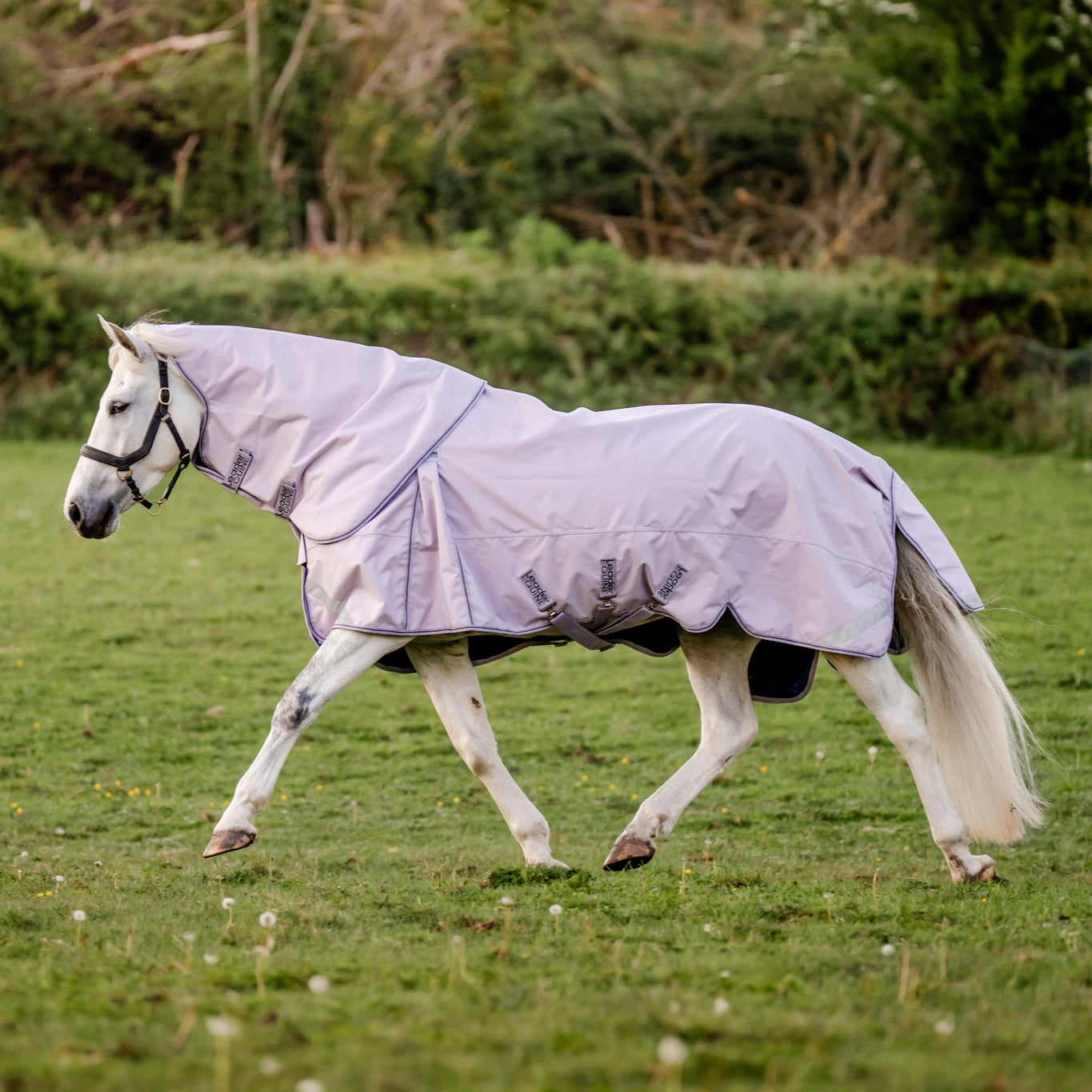 LE Boxter Turnout 0g