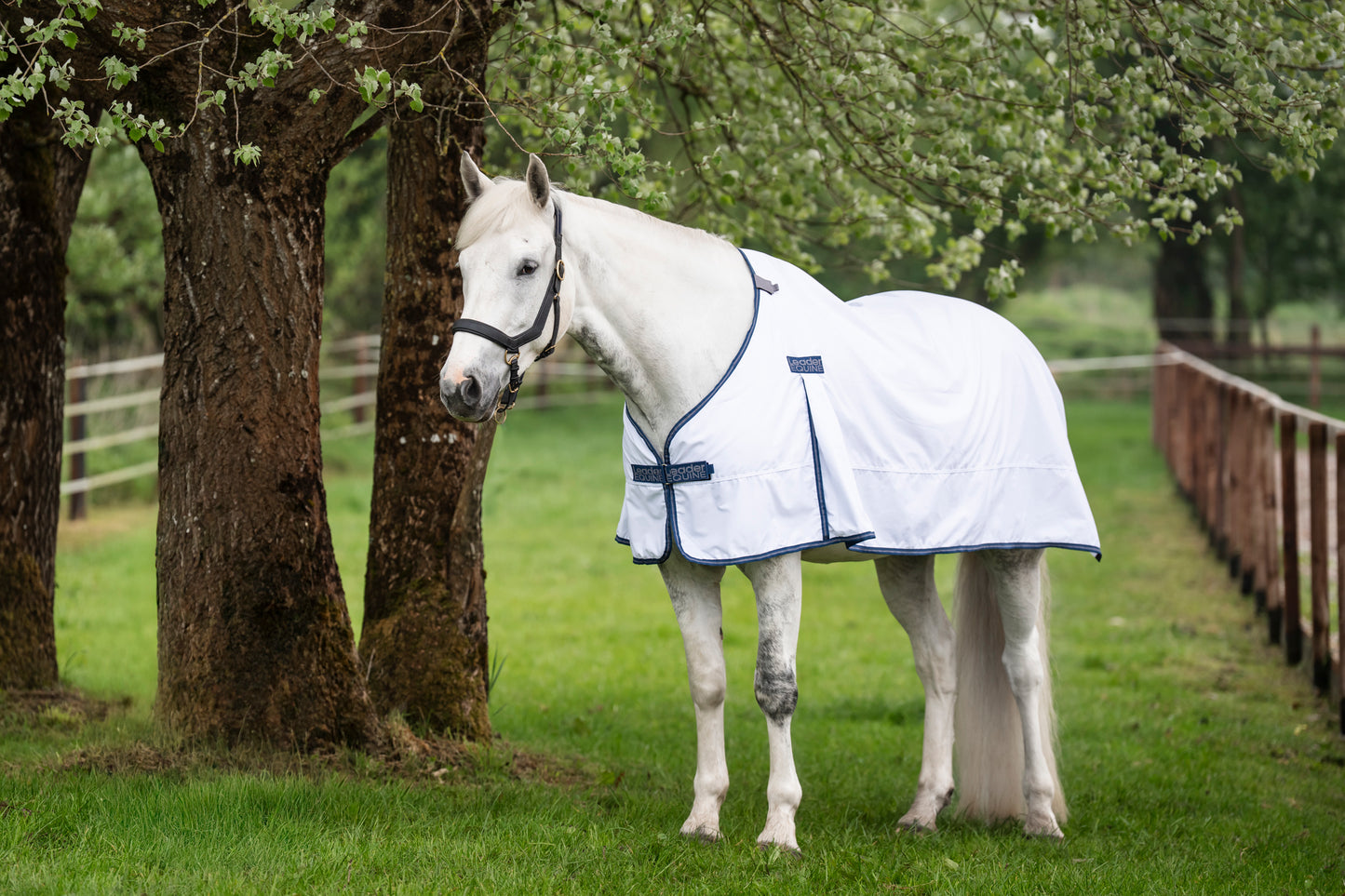 LE Boxter Cotton Vest Liner