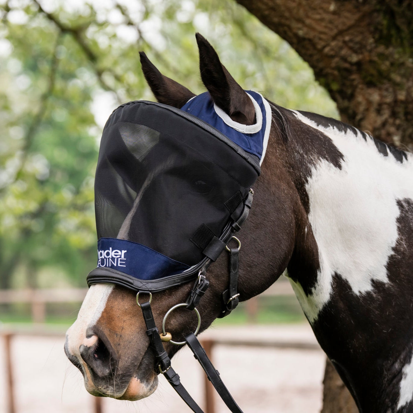 LE Outback Riding Flymask
