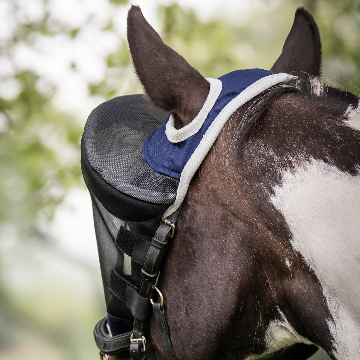 LE Outback Riding Flymask