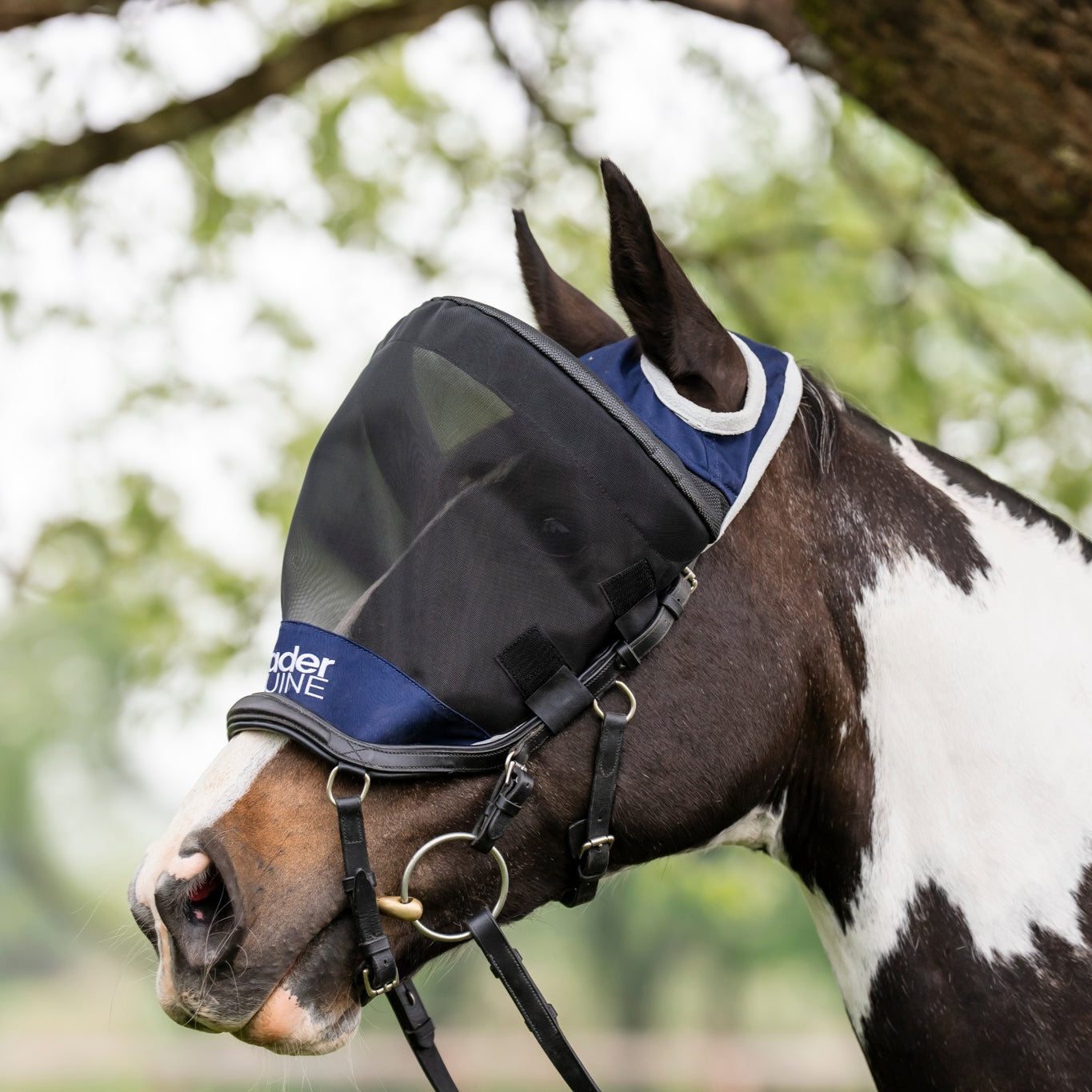 LE Outback Riding Flymask