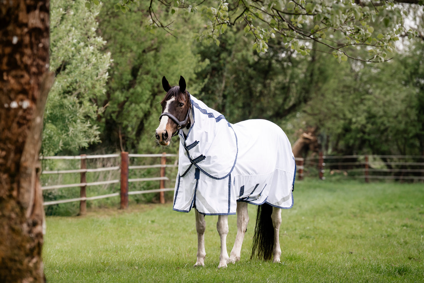 LE Fieldsafe Summer Sheet