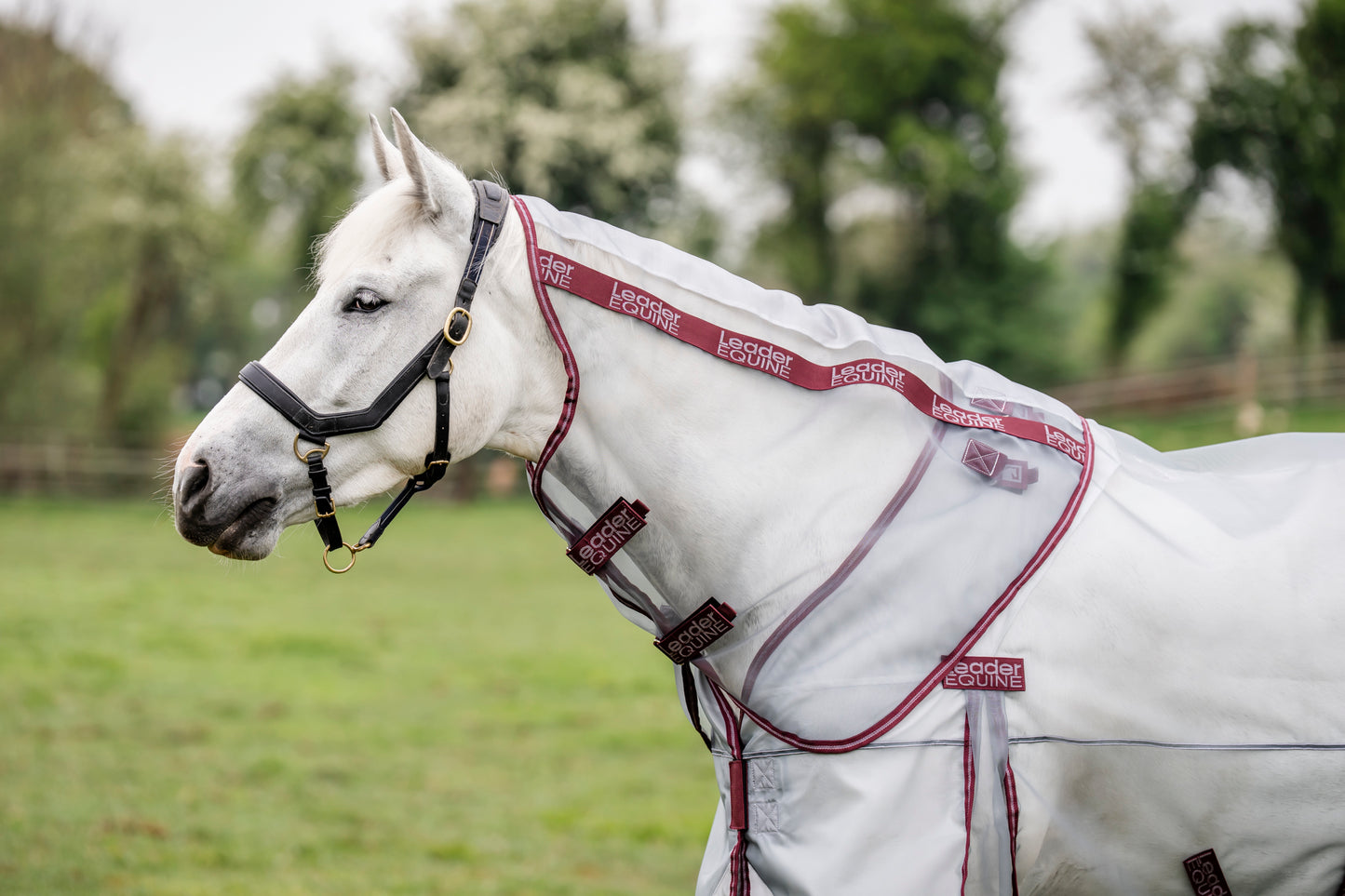 LE Defender Anti-Insect Fly Rug