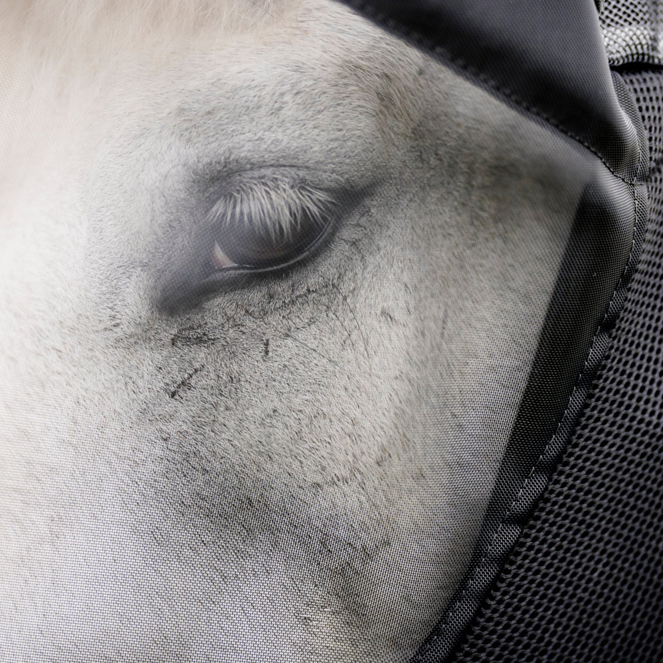 LE Outback Flymask with Ears&Nose