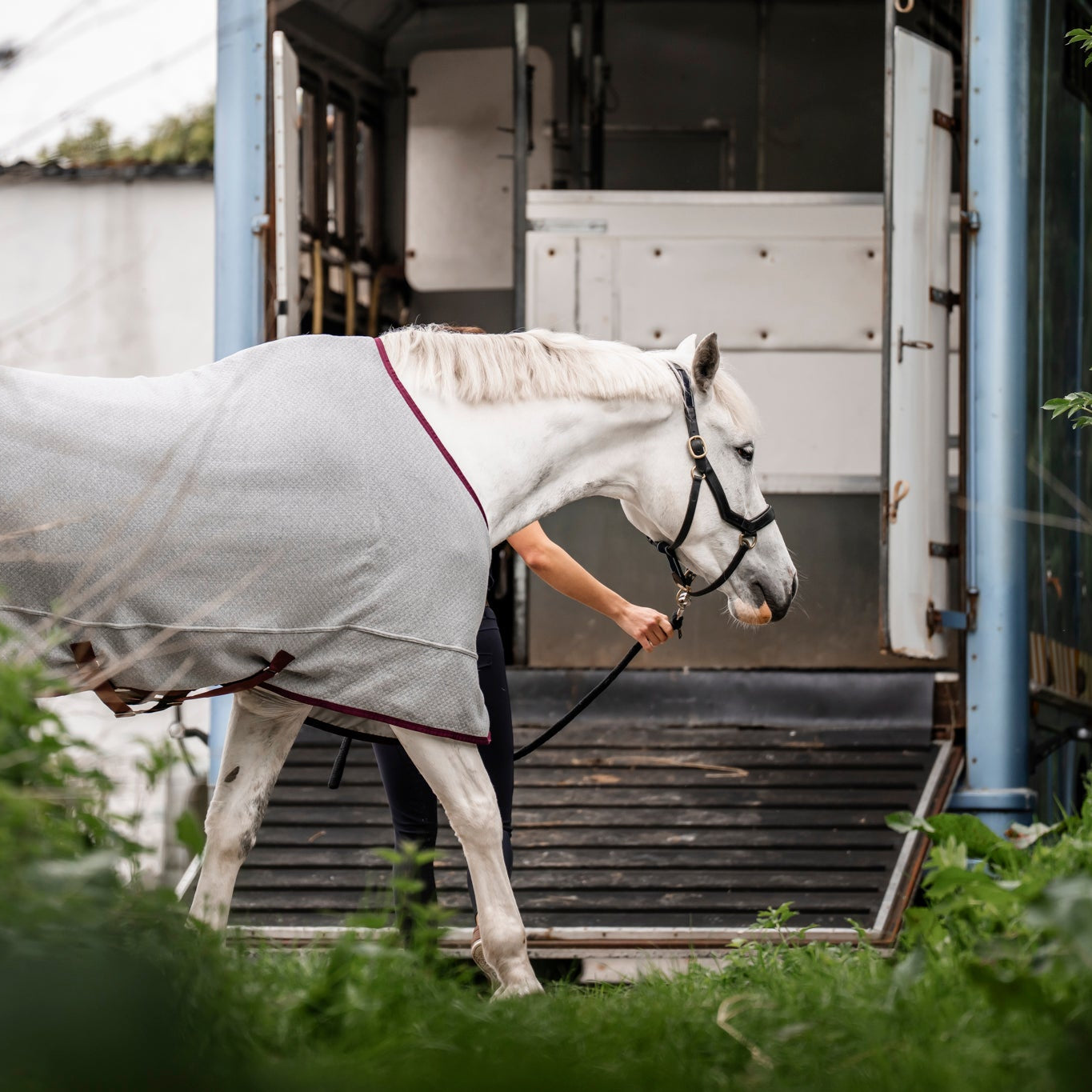 LE BaseLayer Cooler with Fieldsafe Front