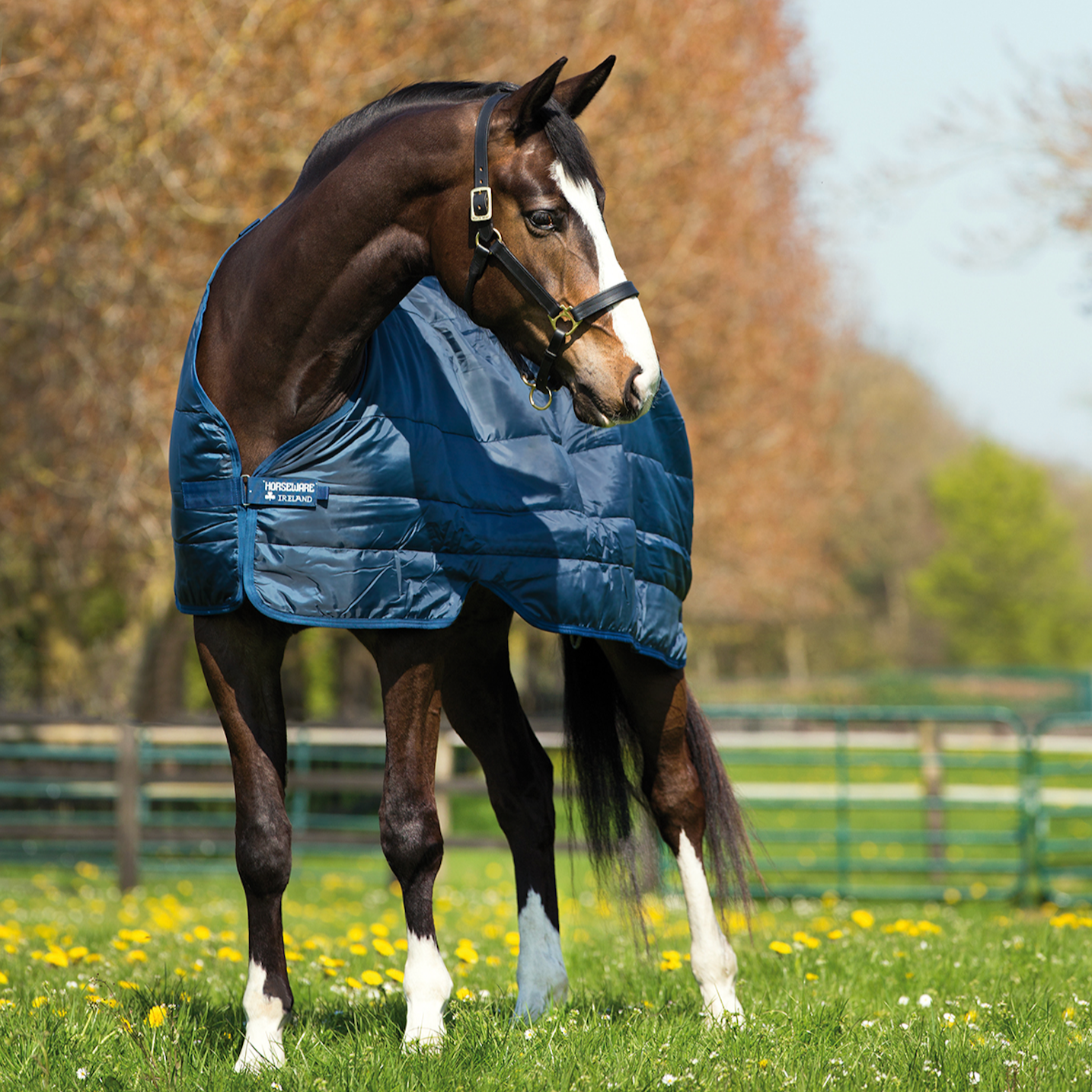 Horseware Liner 200g