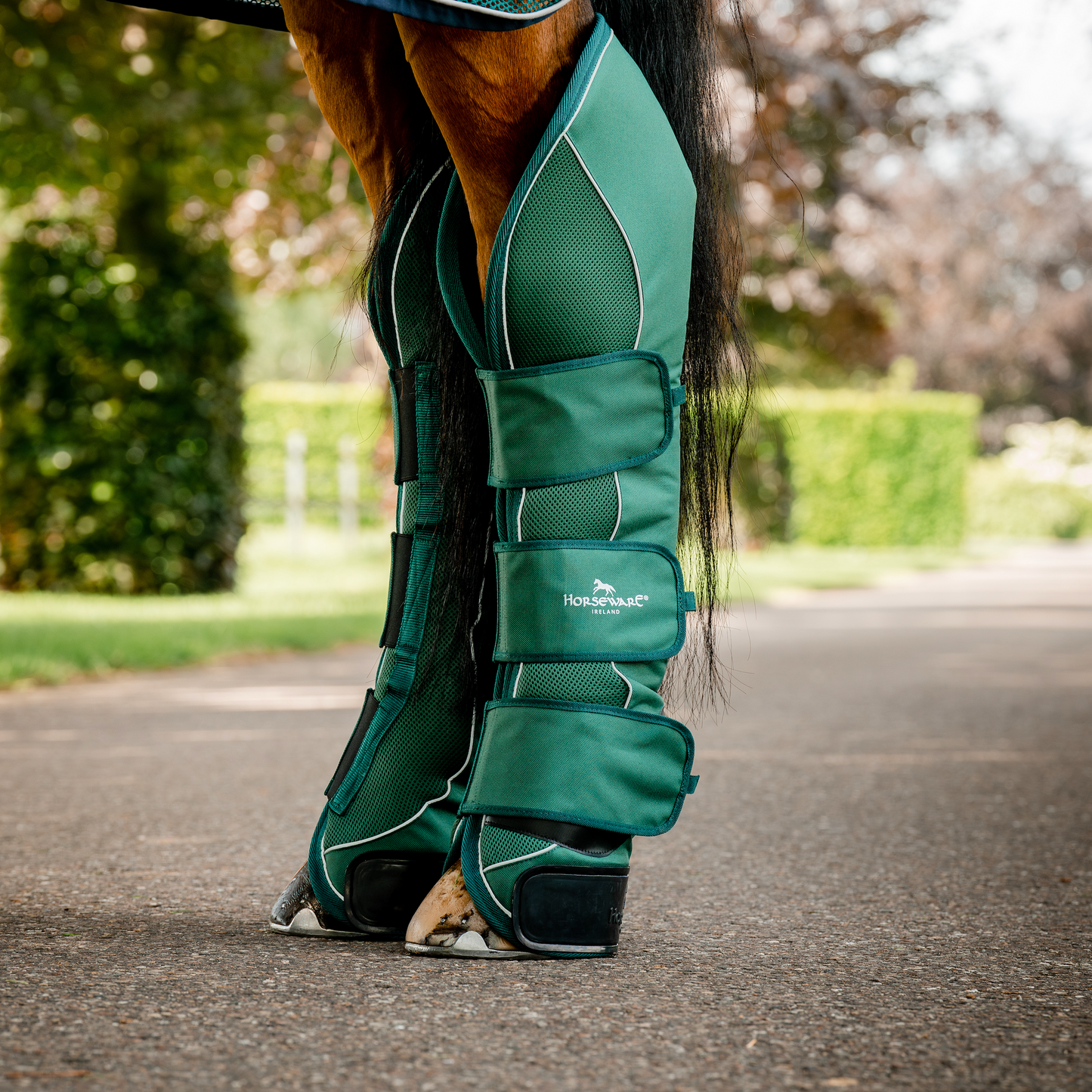 Horseware Signature Travel Boots