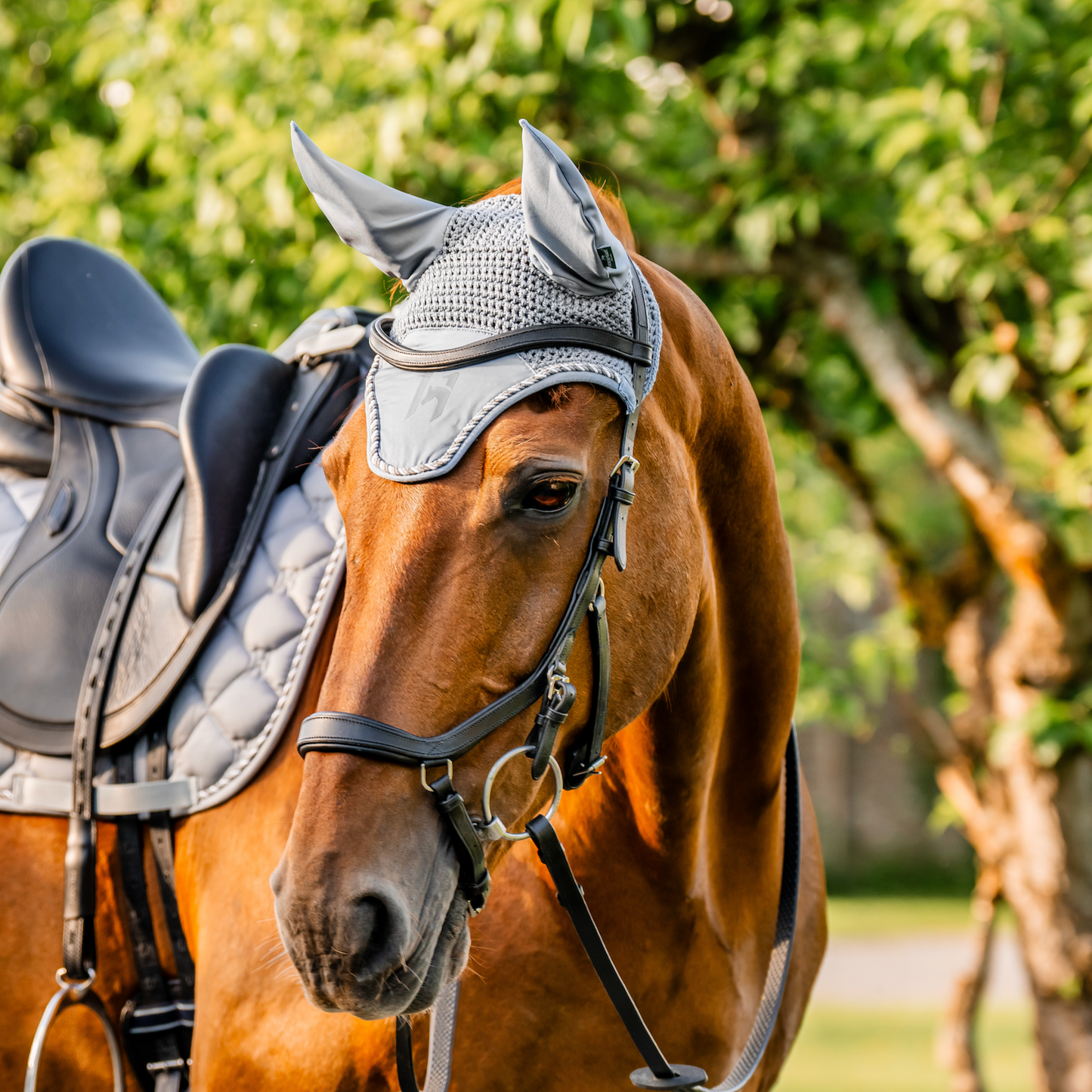 Horseware Newmarket Ear Net