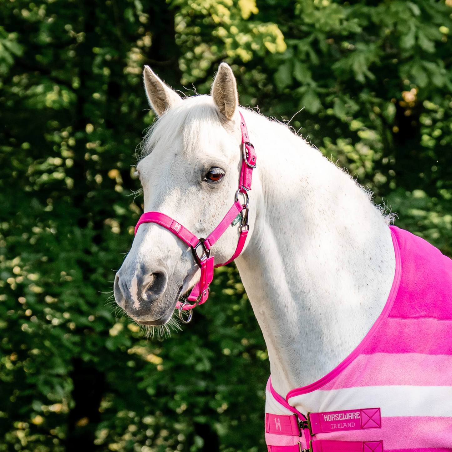 Horseware Newmarket Headcollar & Leadrope