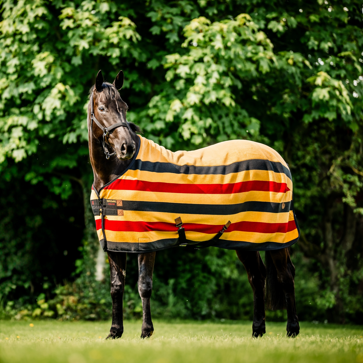 Horseware Newmarket Fleece Cooler