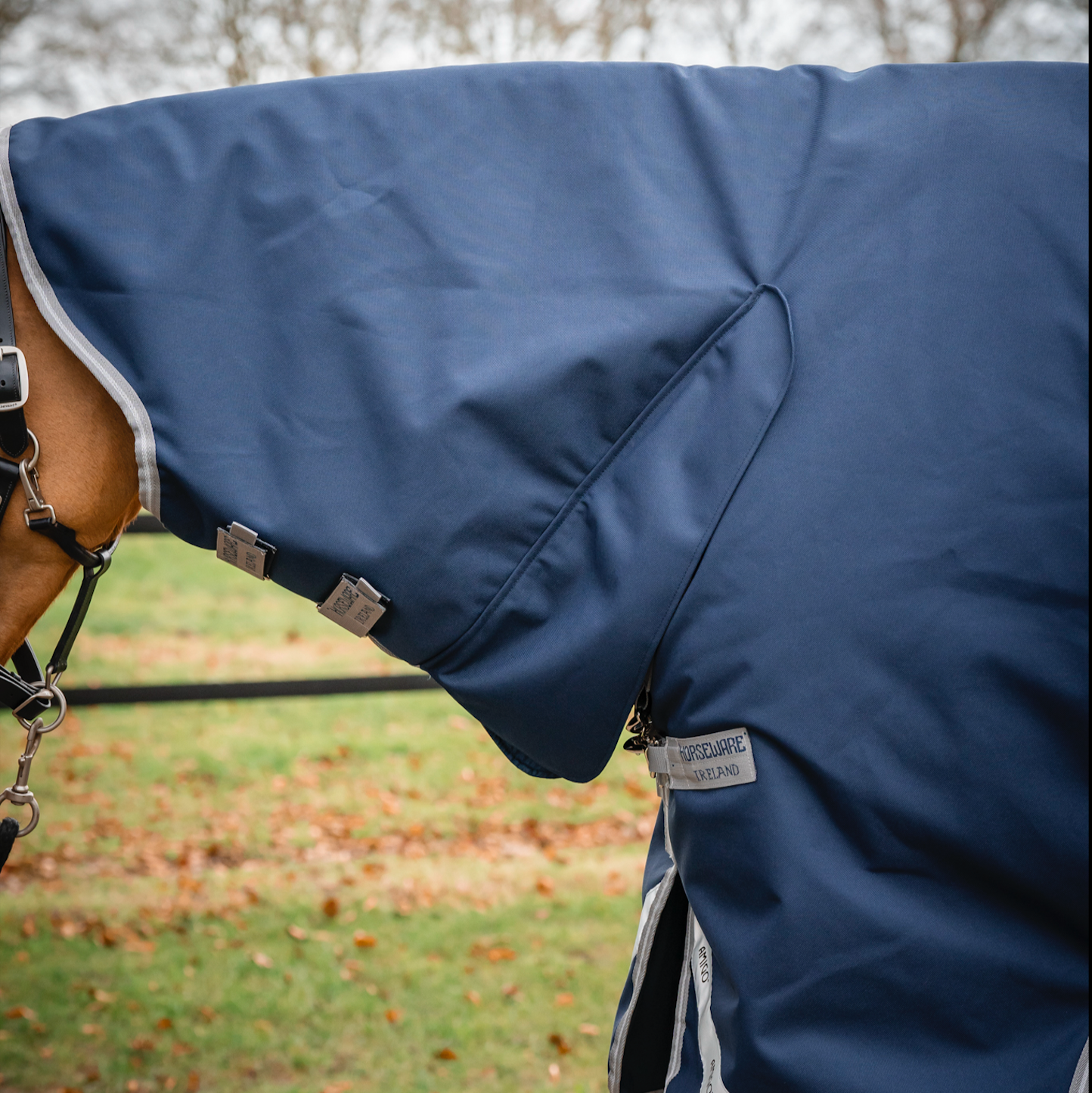 Amigo 1200D Integrated Turnout 50g