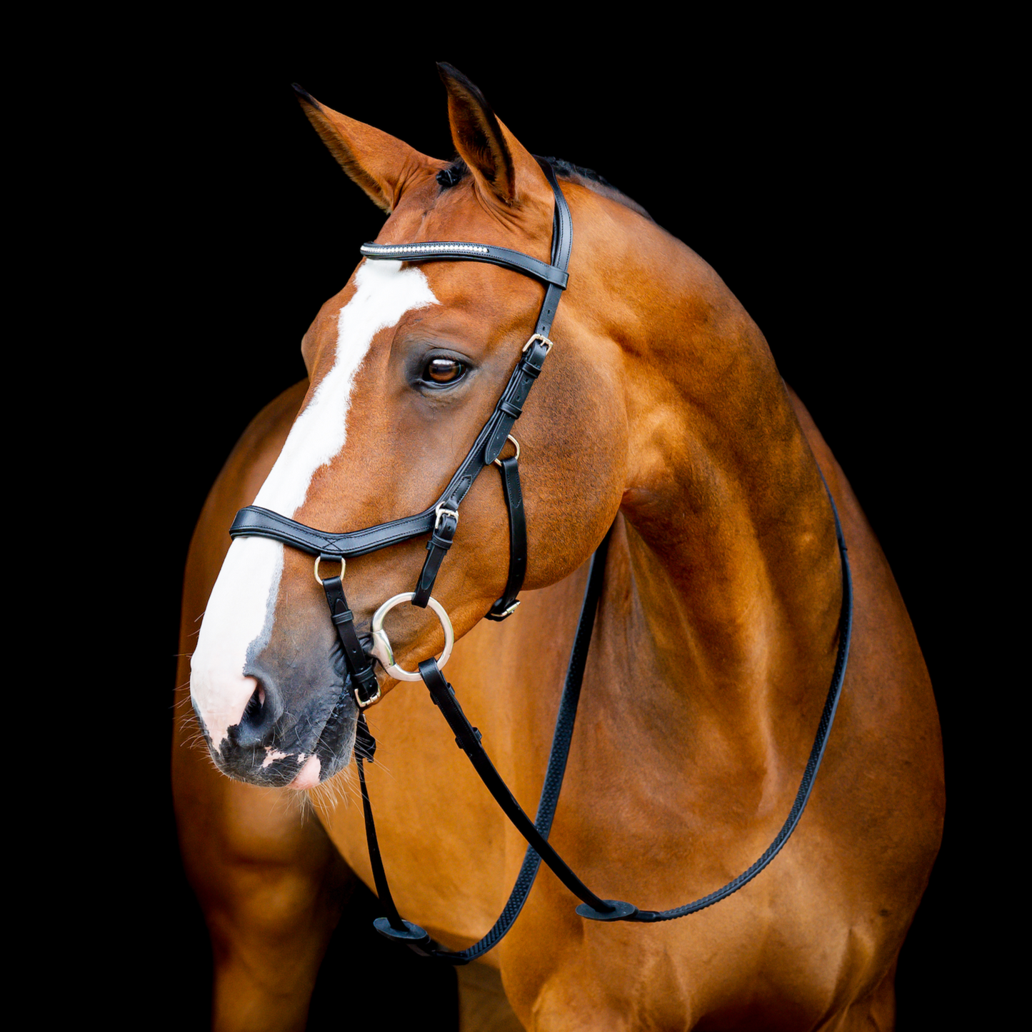 HW Micklem 2 Diamante Comp Bridle