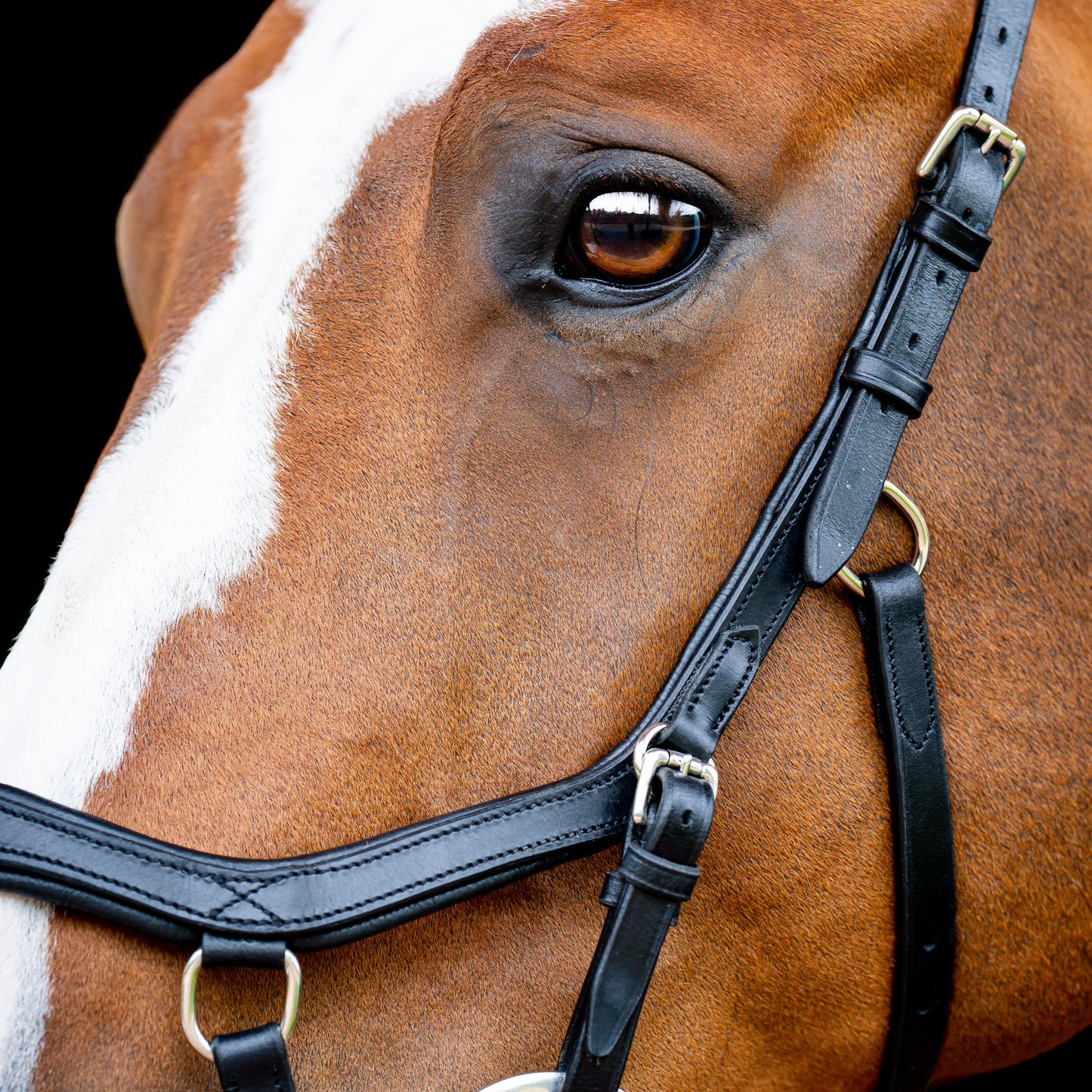HW Micklem 2 Diamante Comp Bridle