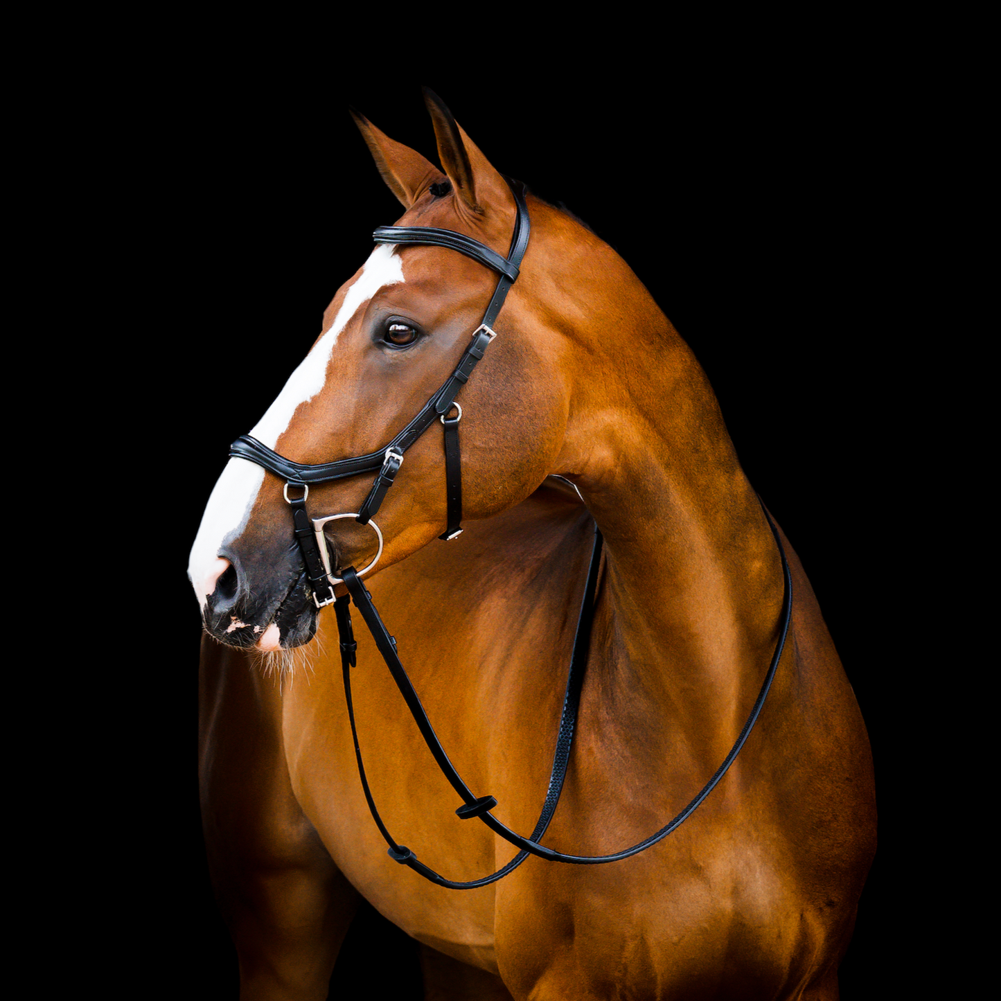 HW Micklem 2 Deluxe Comp Bridle