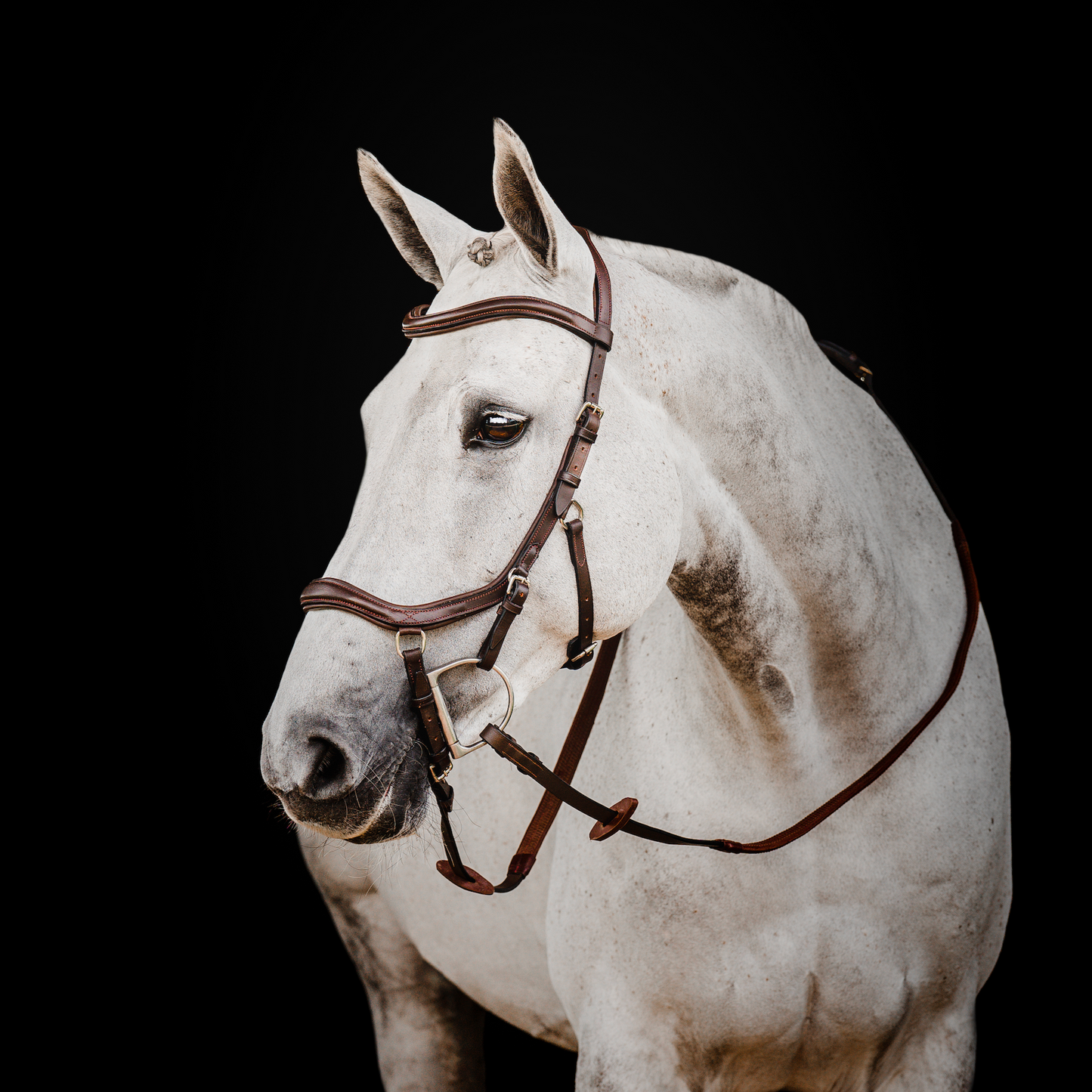 HW Micklem 2 Deluxe Comp Bridle