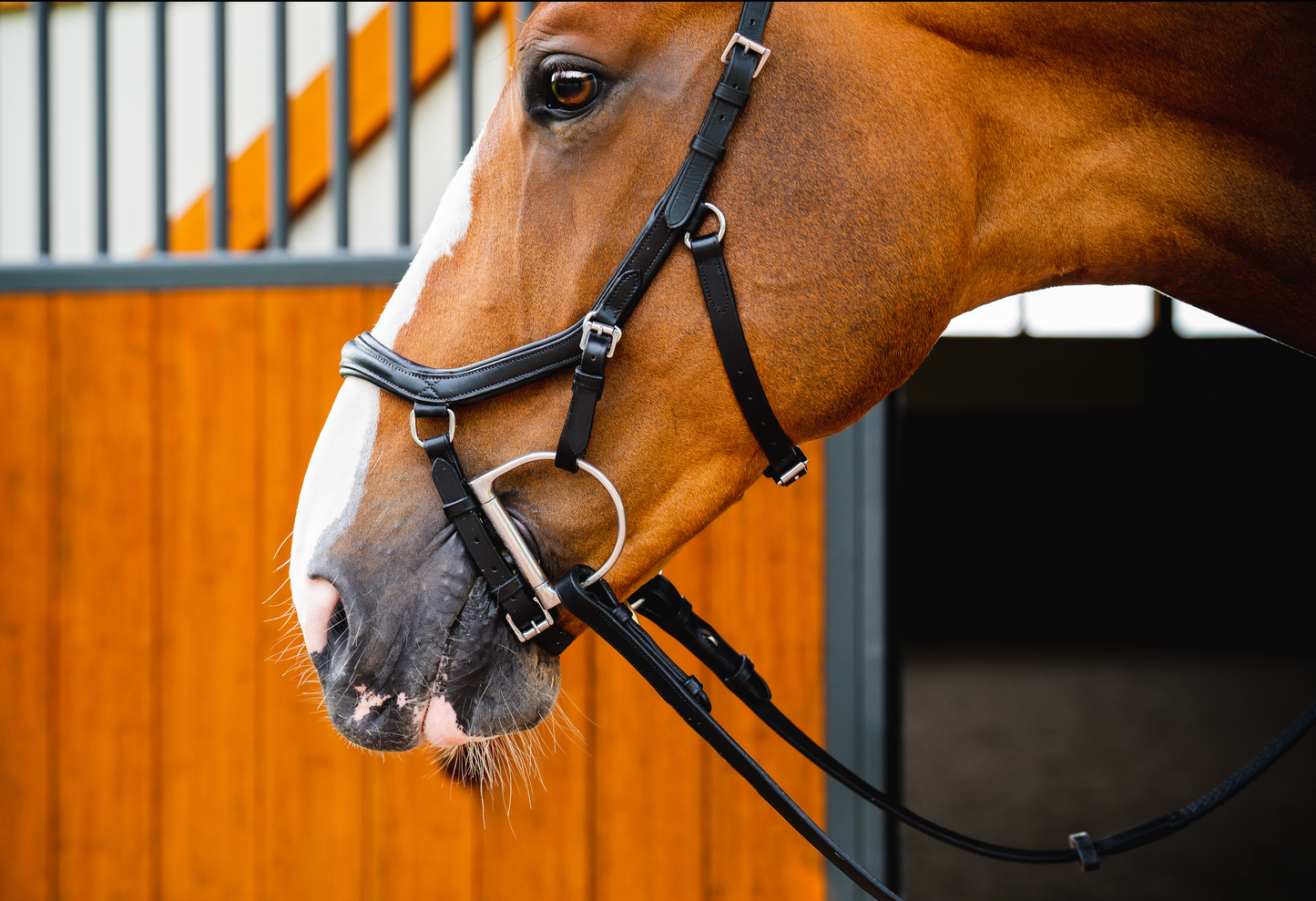 HW Micklem 2 Deluxe Comp Bridle