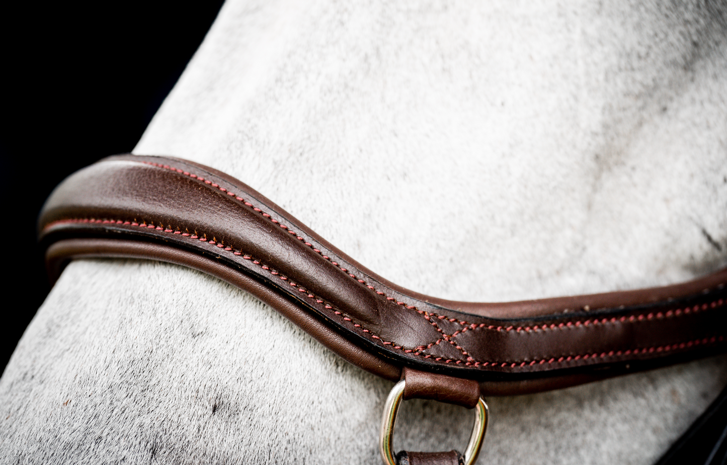 HW Micklem 2 Deluxe Comp Bridle