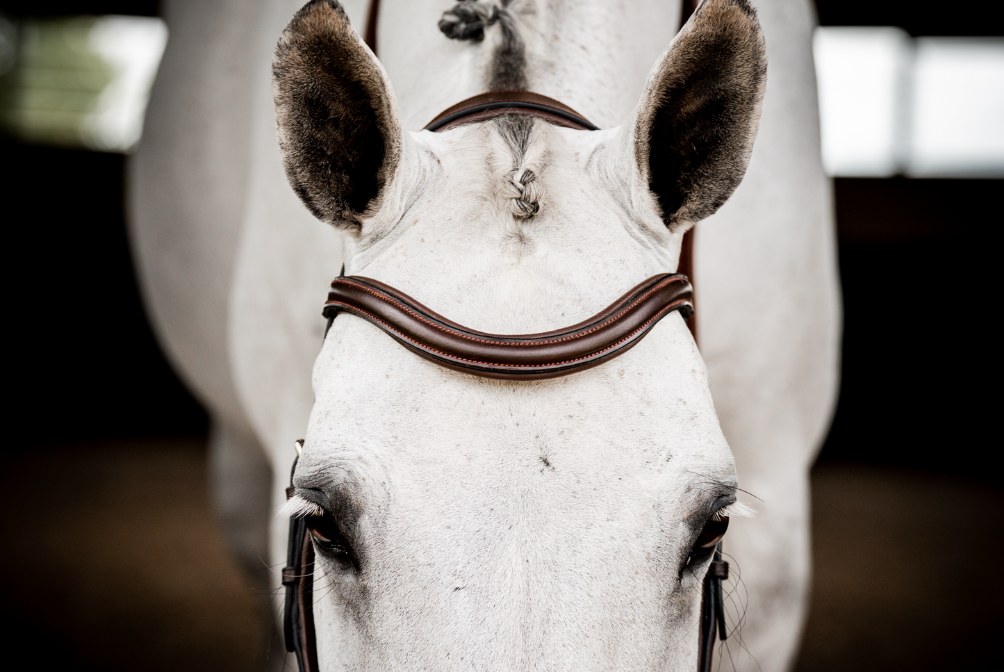 HW Micklem 2 Deluxe Comp Bridle