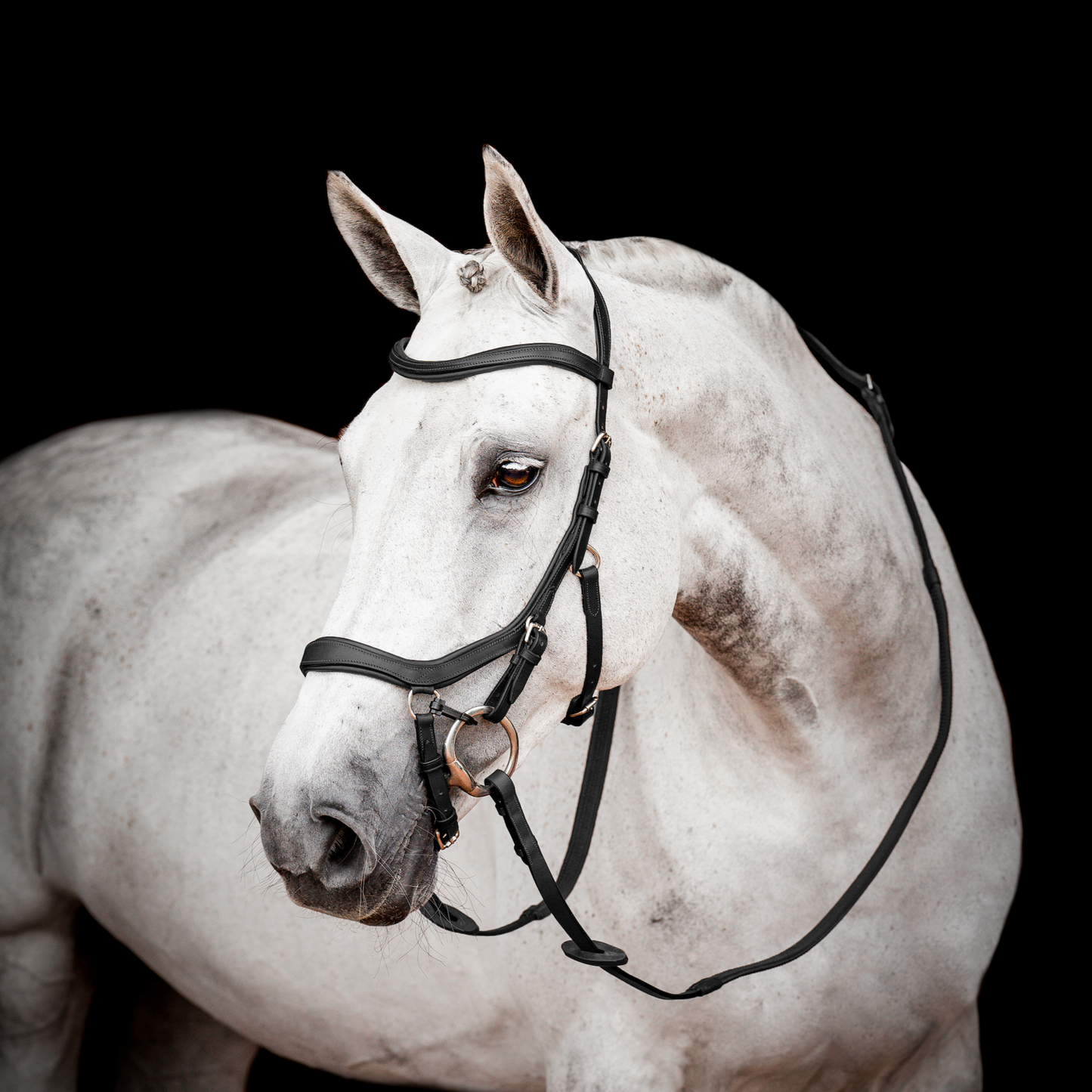 HW Micklem 2 Competition Bridle