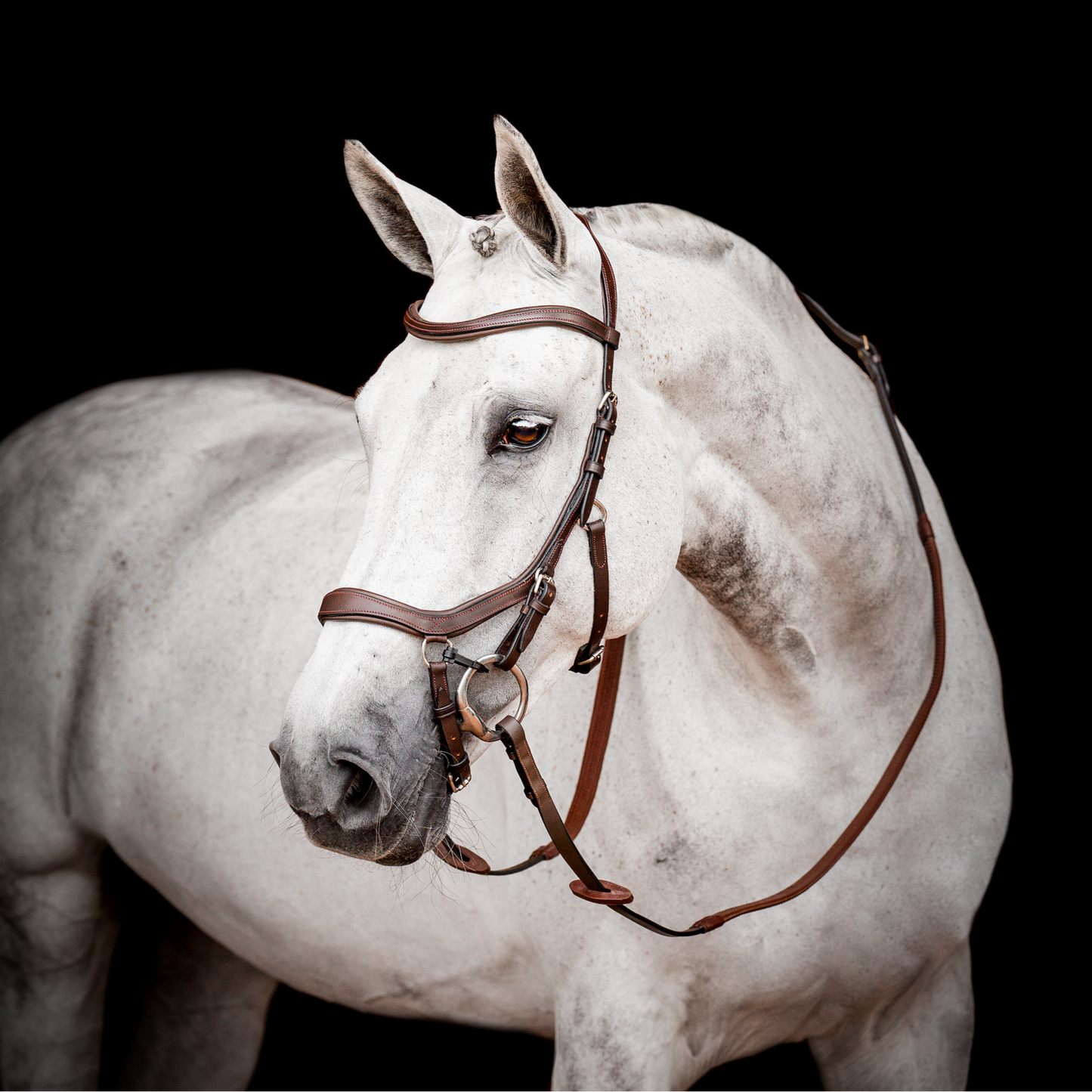 HW Micklem 2 Competition Bridle