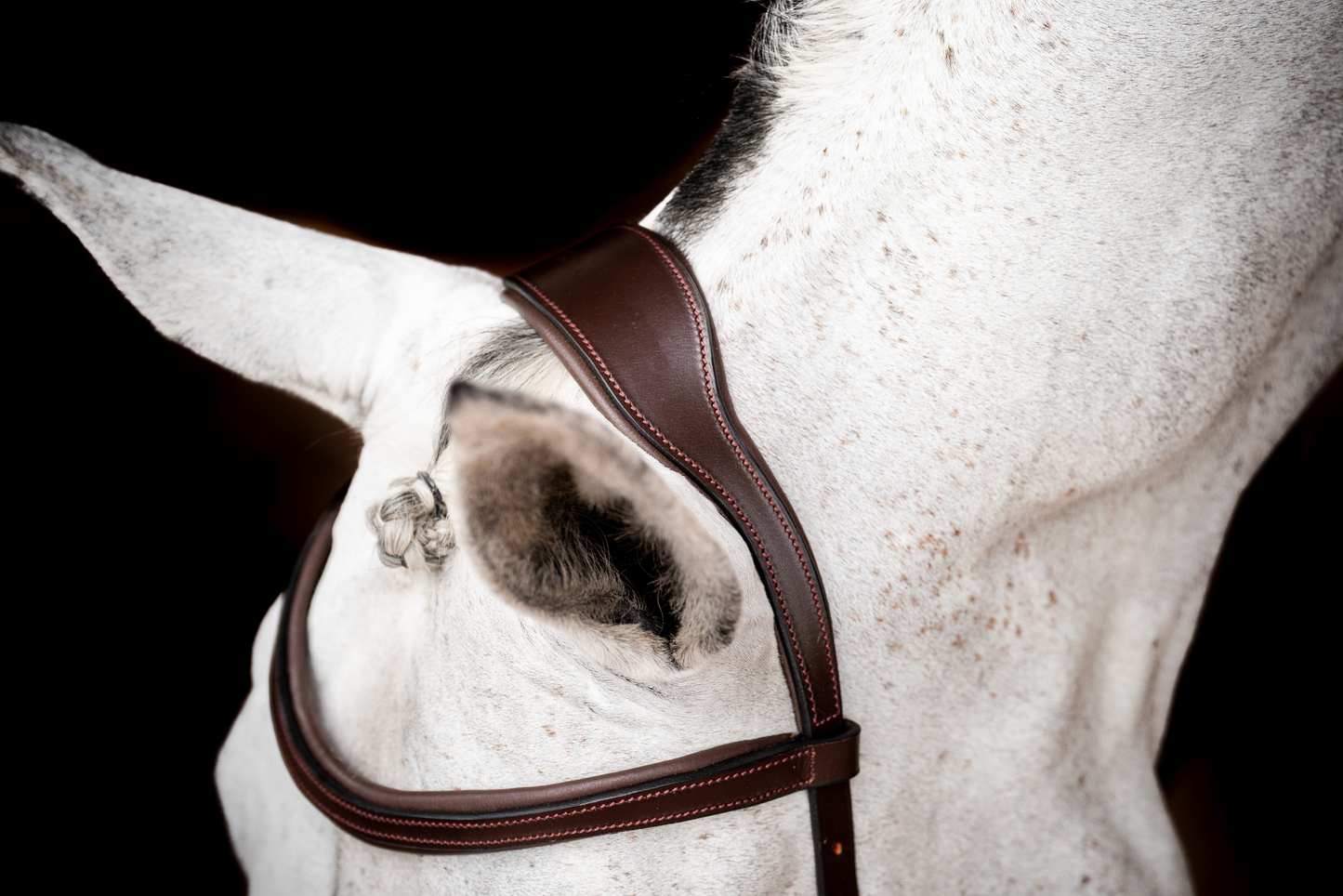 HW Micklem 2 Competition Bridle