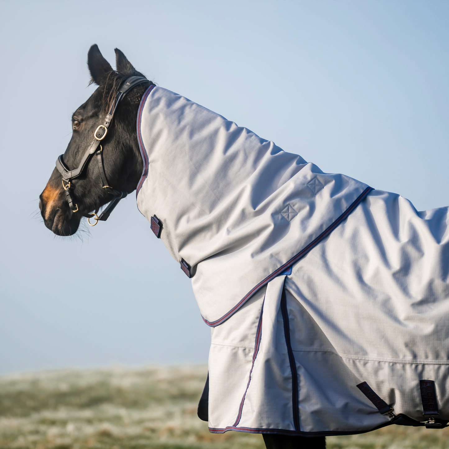 LE Boxter Turnout Ripstop 50g