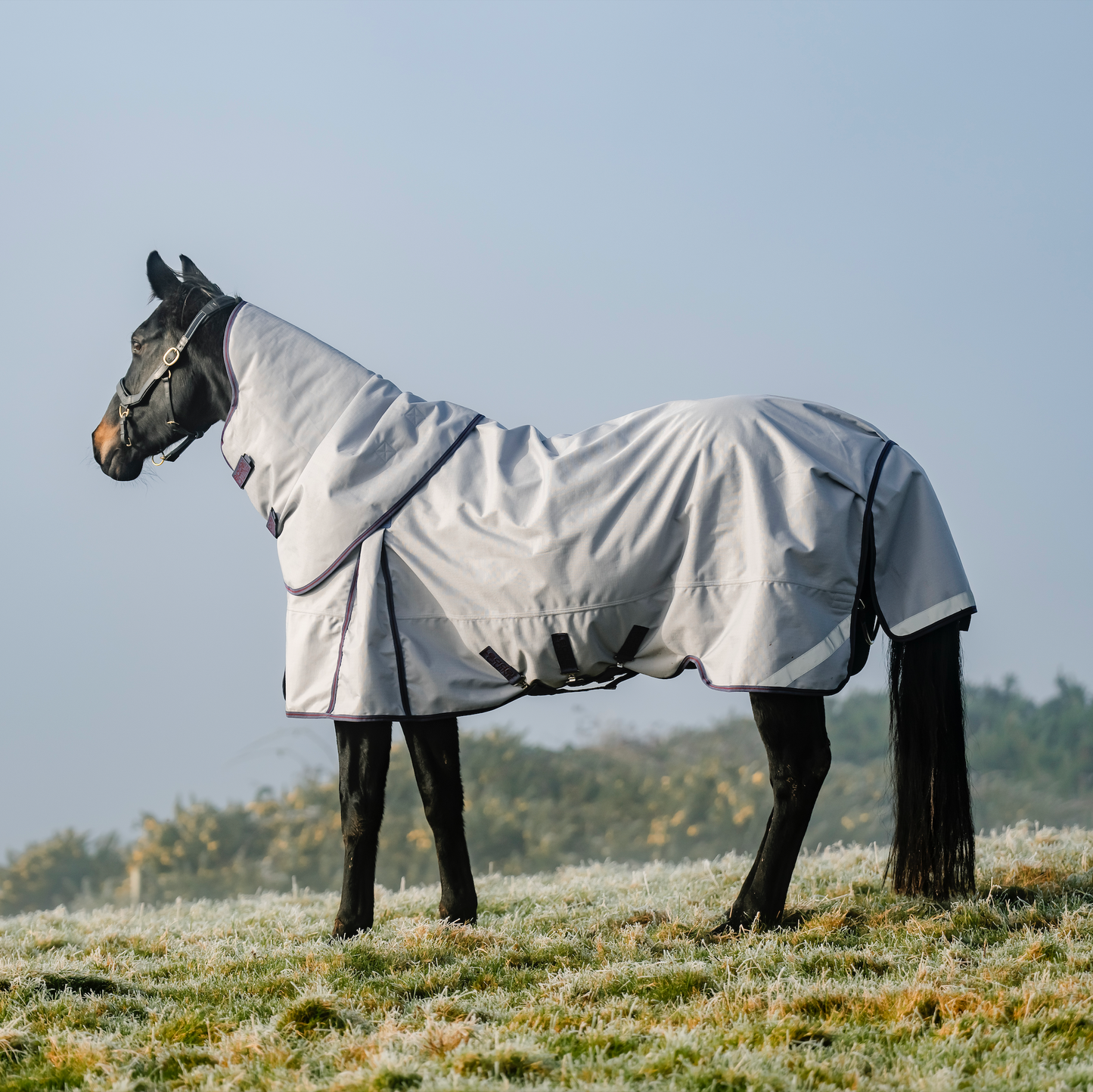 LE Boxter Turnout Ripstop 50g