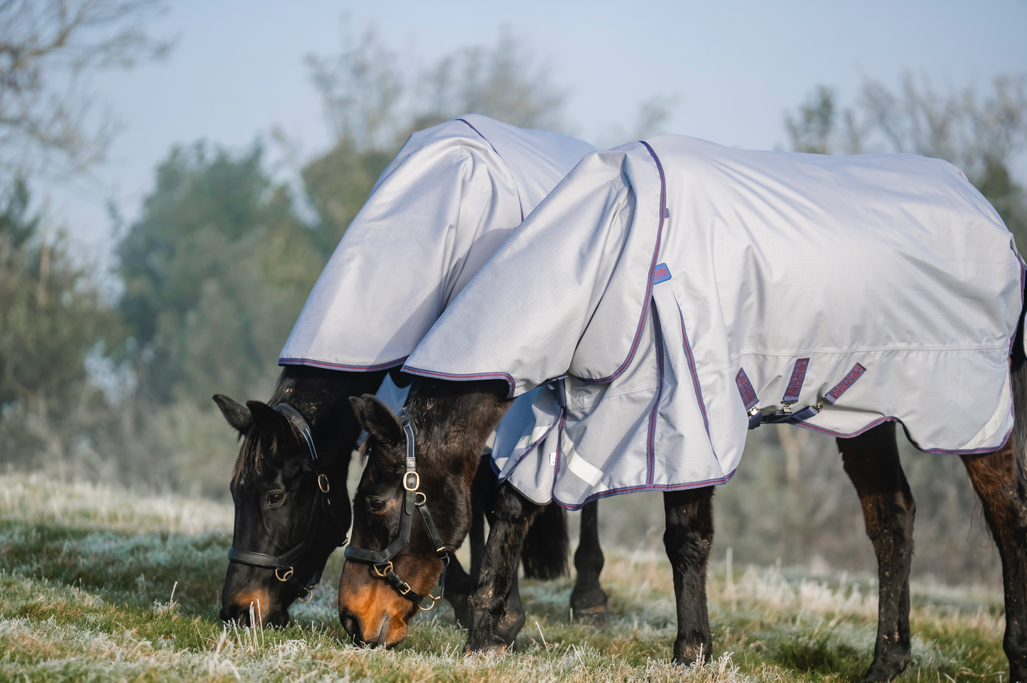 LE Boxter Turnout Ripstop 50g