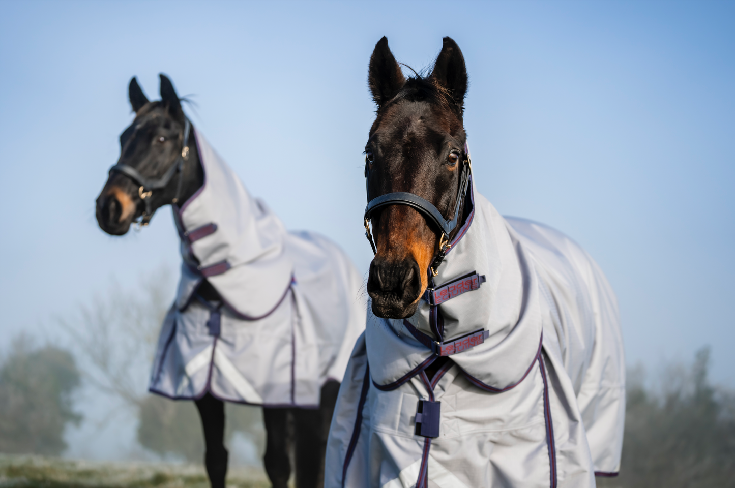 LE Boxter Turnout Ripstop 50g