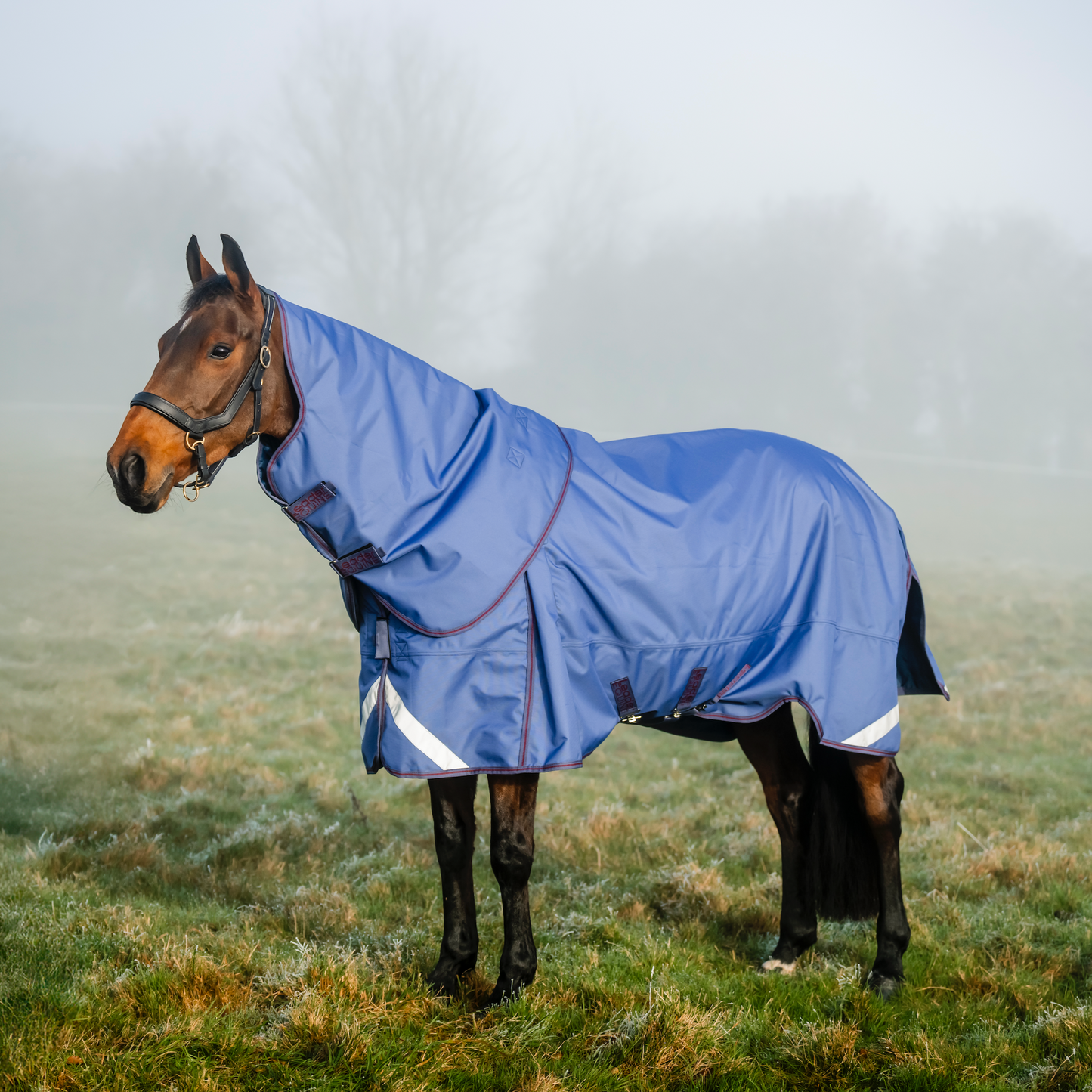LE Boxter Turnout 100g