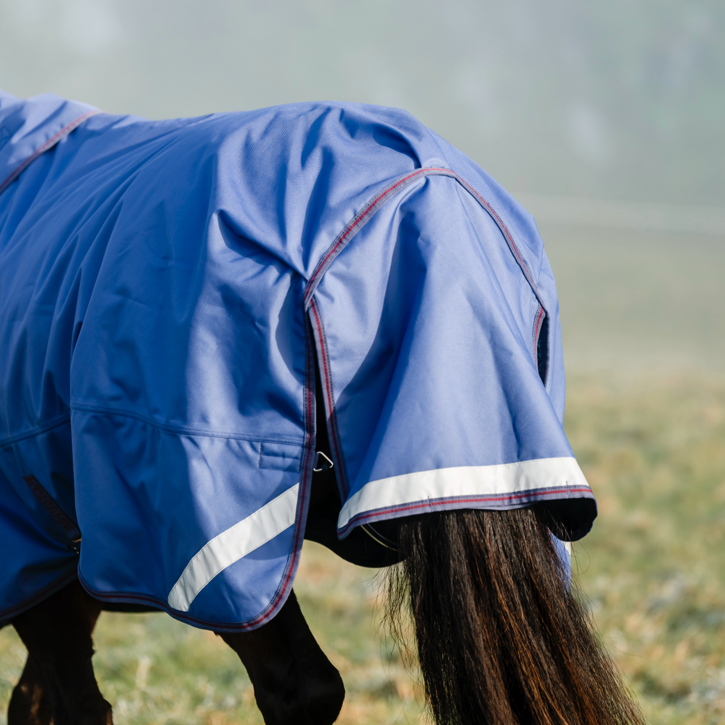 LE Boxter Turnout 100g